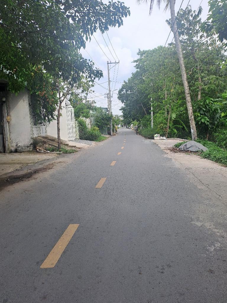 z5583519045686_9c4a2e2a25d288c2cd677ea7f3545f62