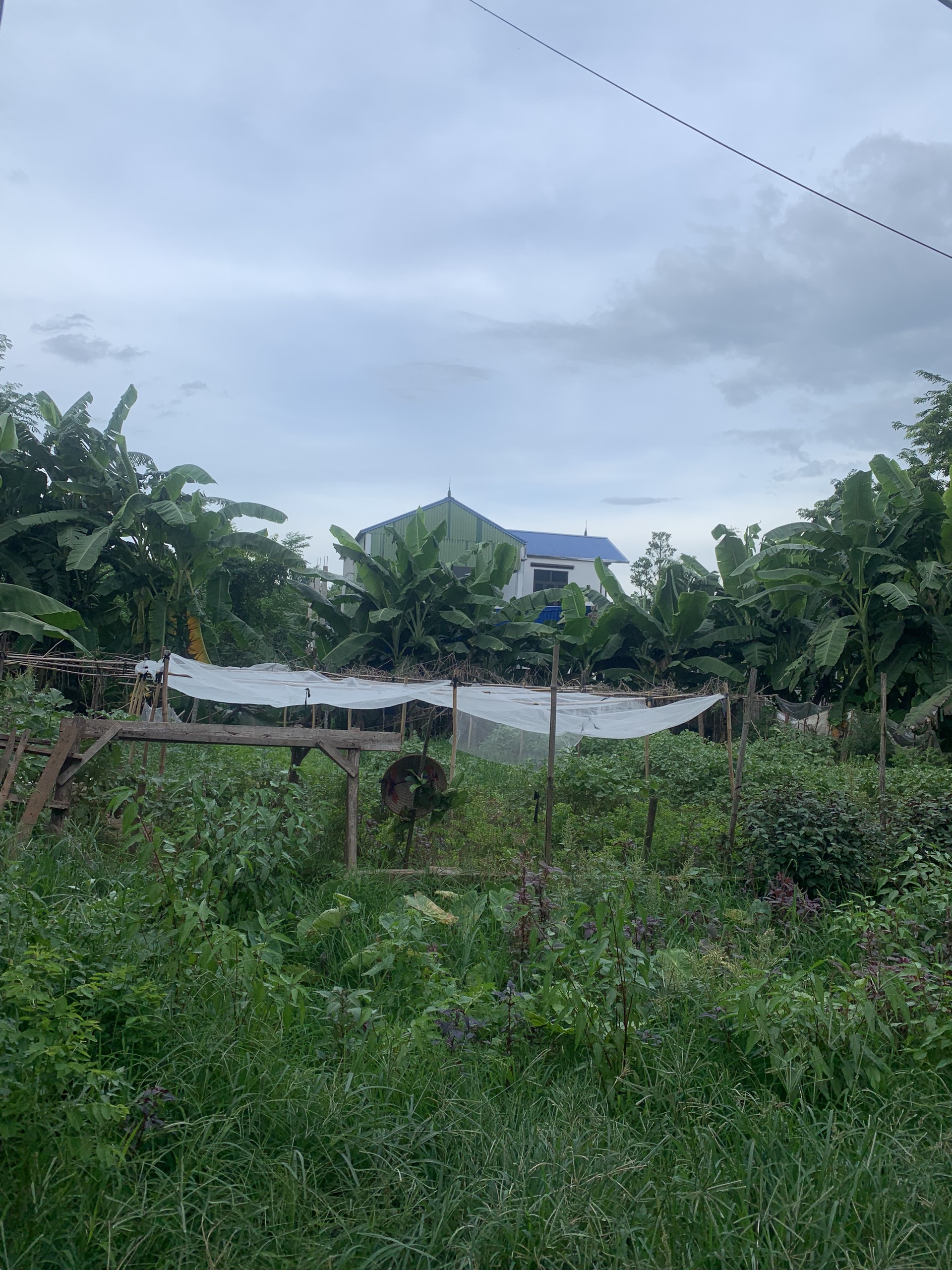 z5588151697695_30bfce84b2d7203847c73ea30666c7d0