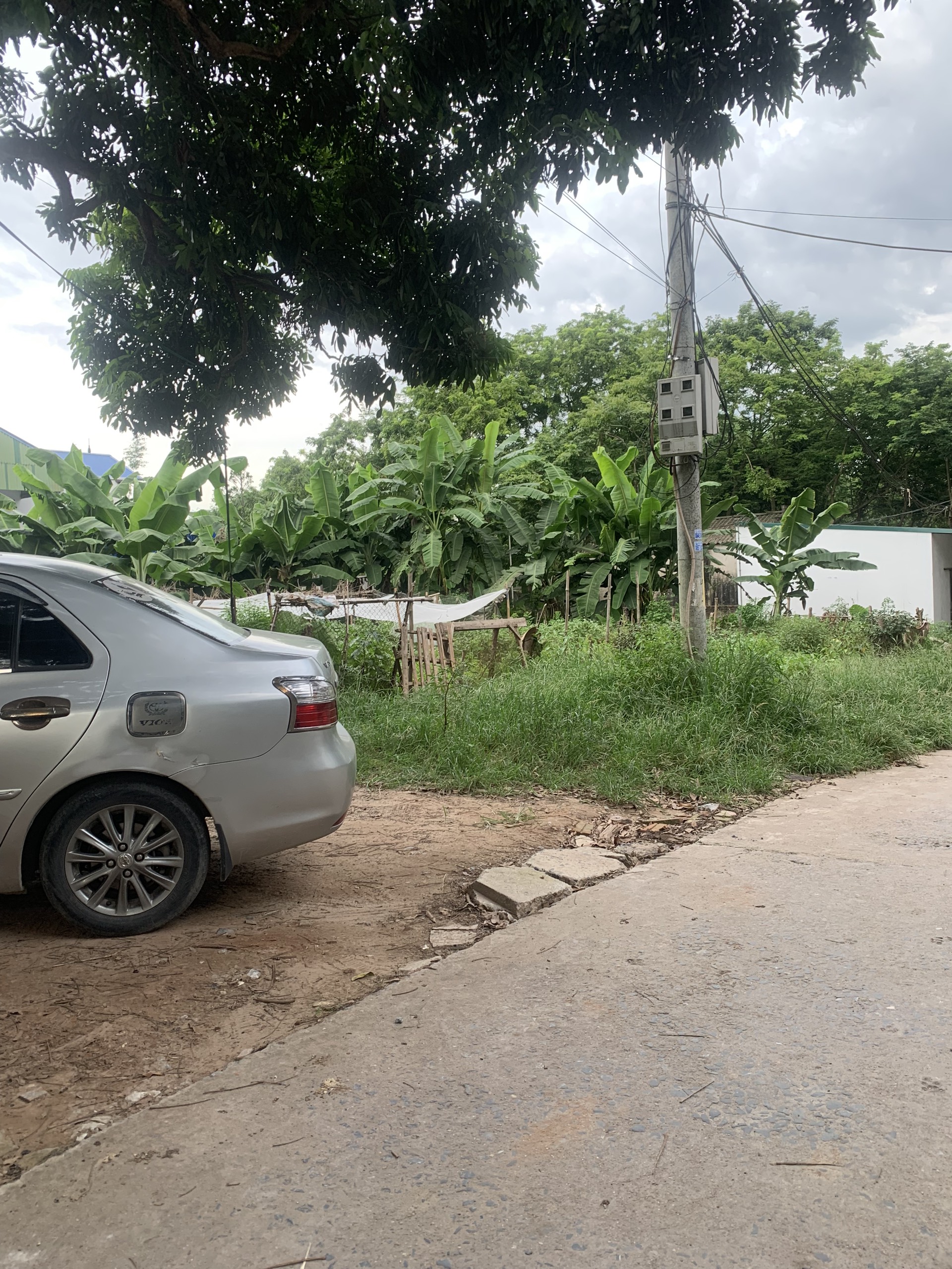 z5588151699062_2cf4f4c3aa8edbcd66d2934c60e4af4c