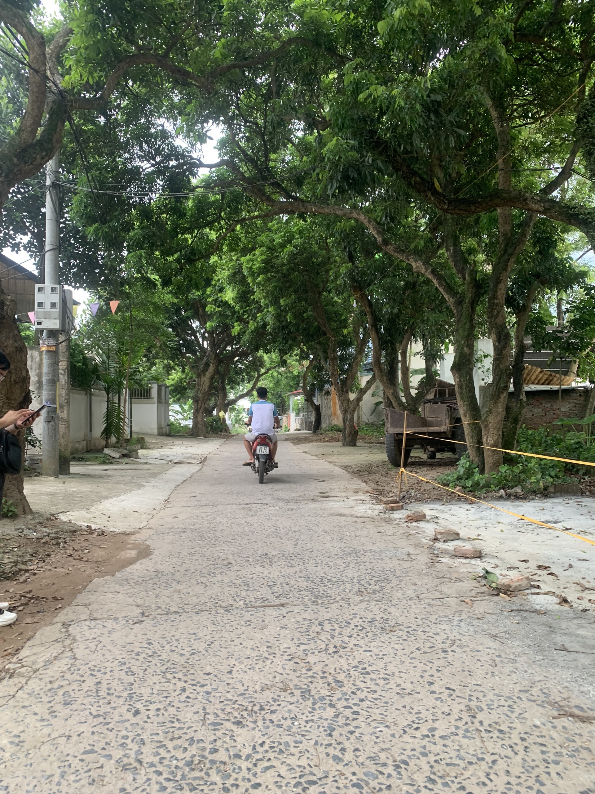 z5588151706427_7fcedabf3d4785c1555dcc8c9a4f1ae8