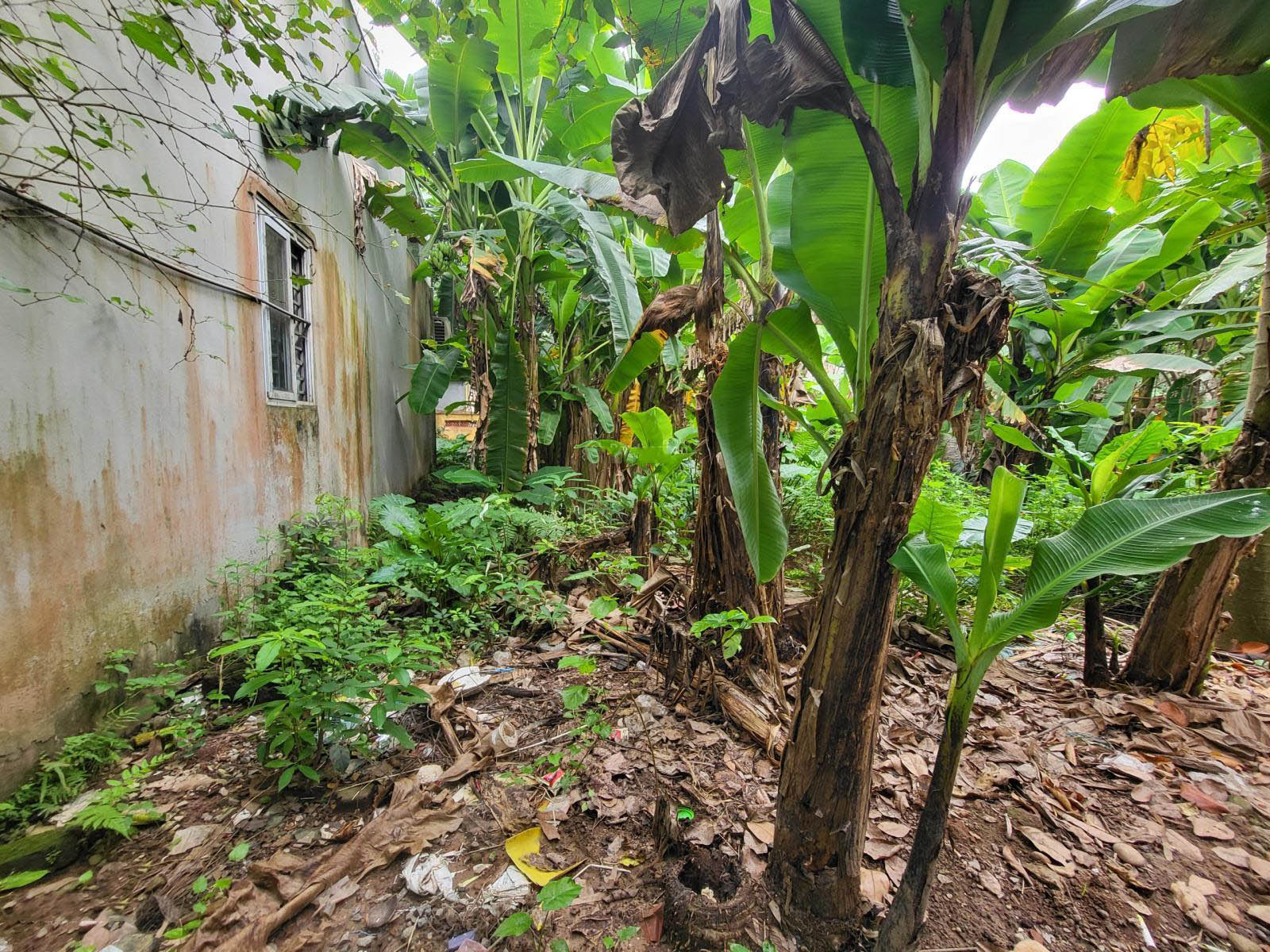 20240707130812-ba09_wm