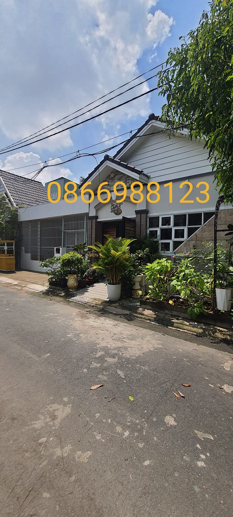 289938969_546184670541917_9131537577251445427_n