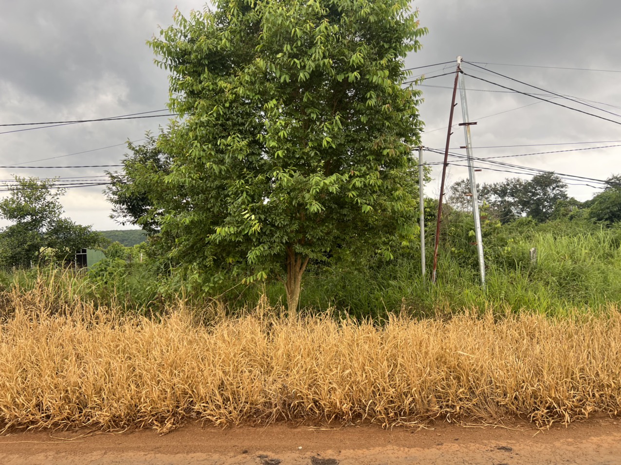 2cc35c1b15c3b09de9d2