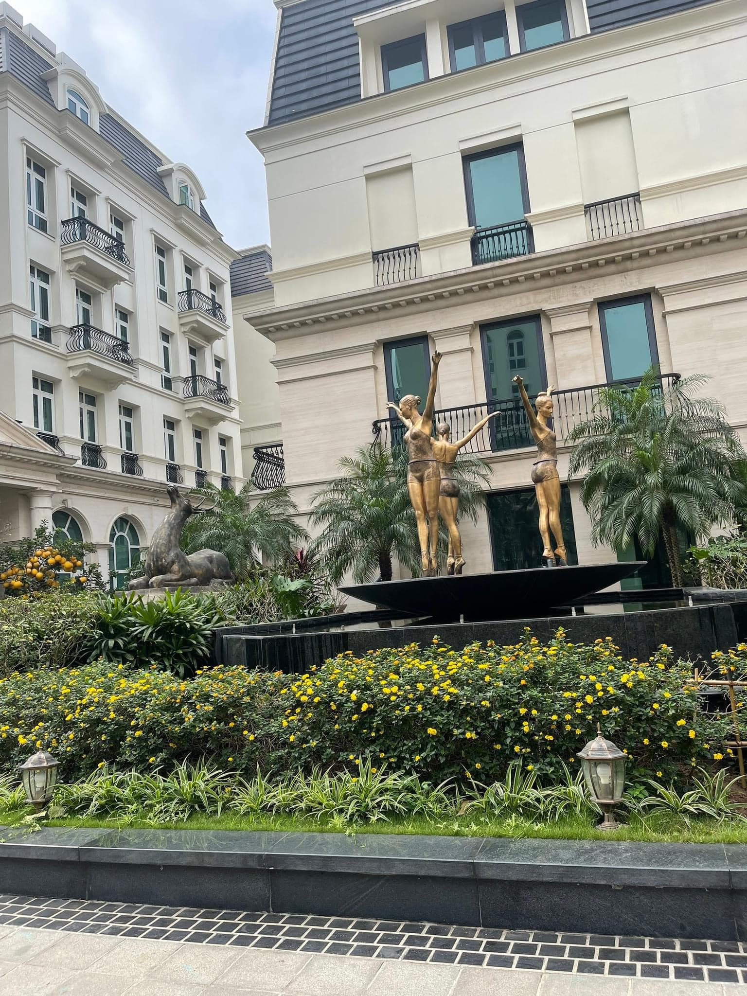 333010927_1129867967708788_1631230134925037810_n