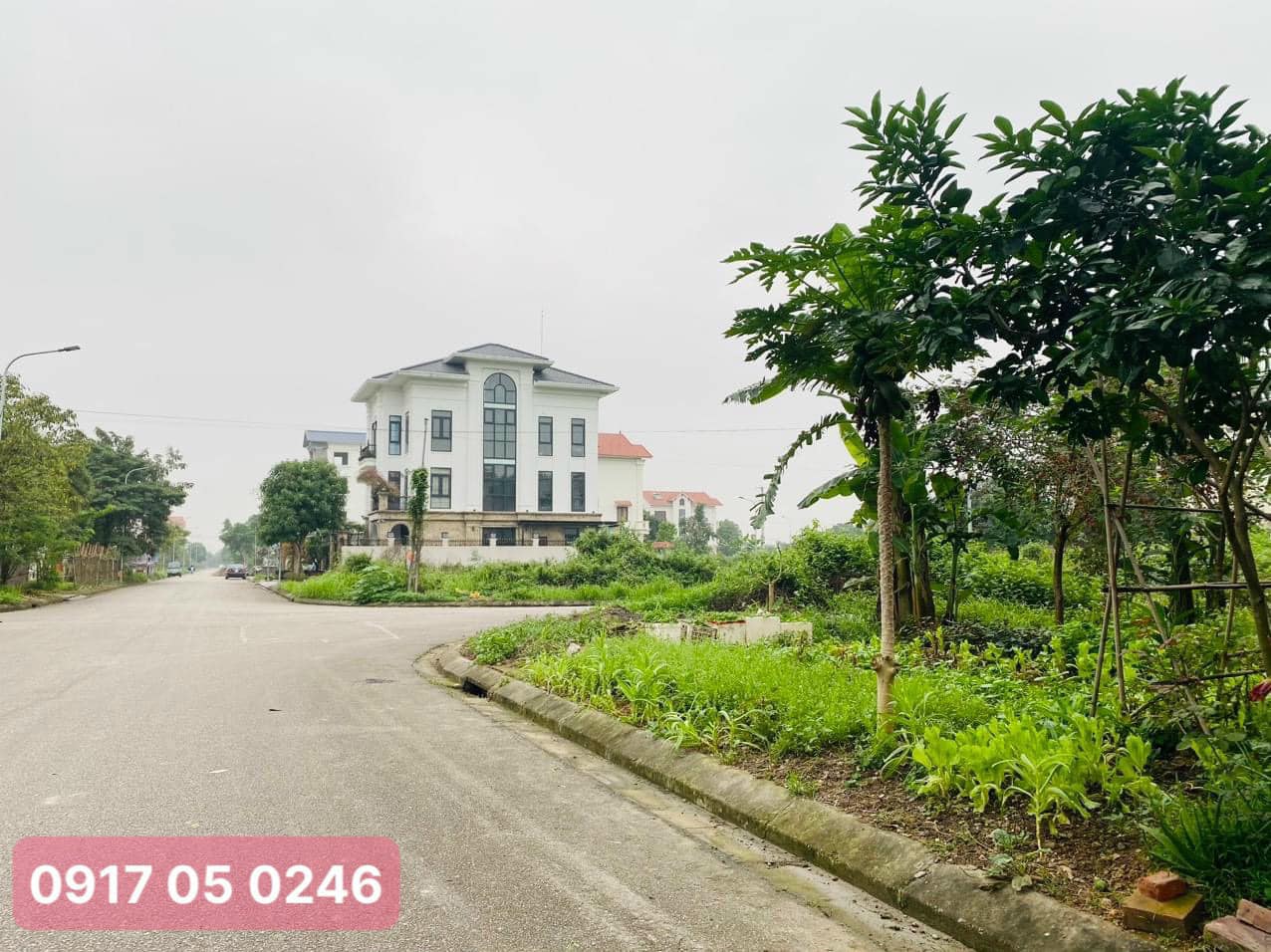 341175691_176797445229824_5114026793981536287_n