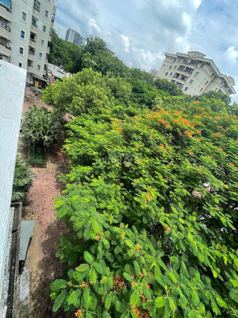 362fca38dcac45263b6f6904f8a209c0-2887115725558604079