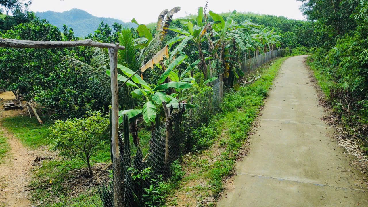 3e042f11da3a7864212b12