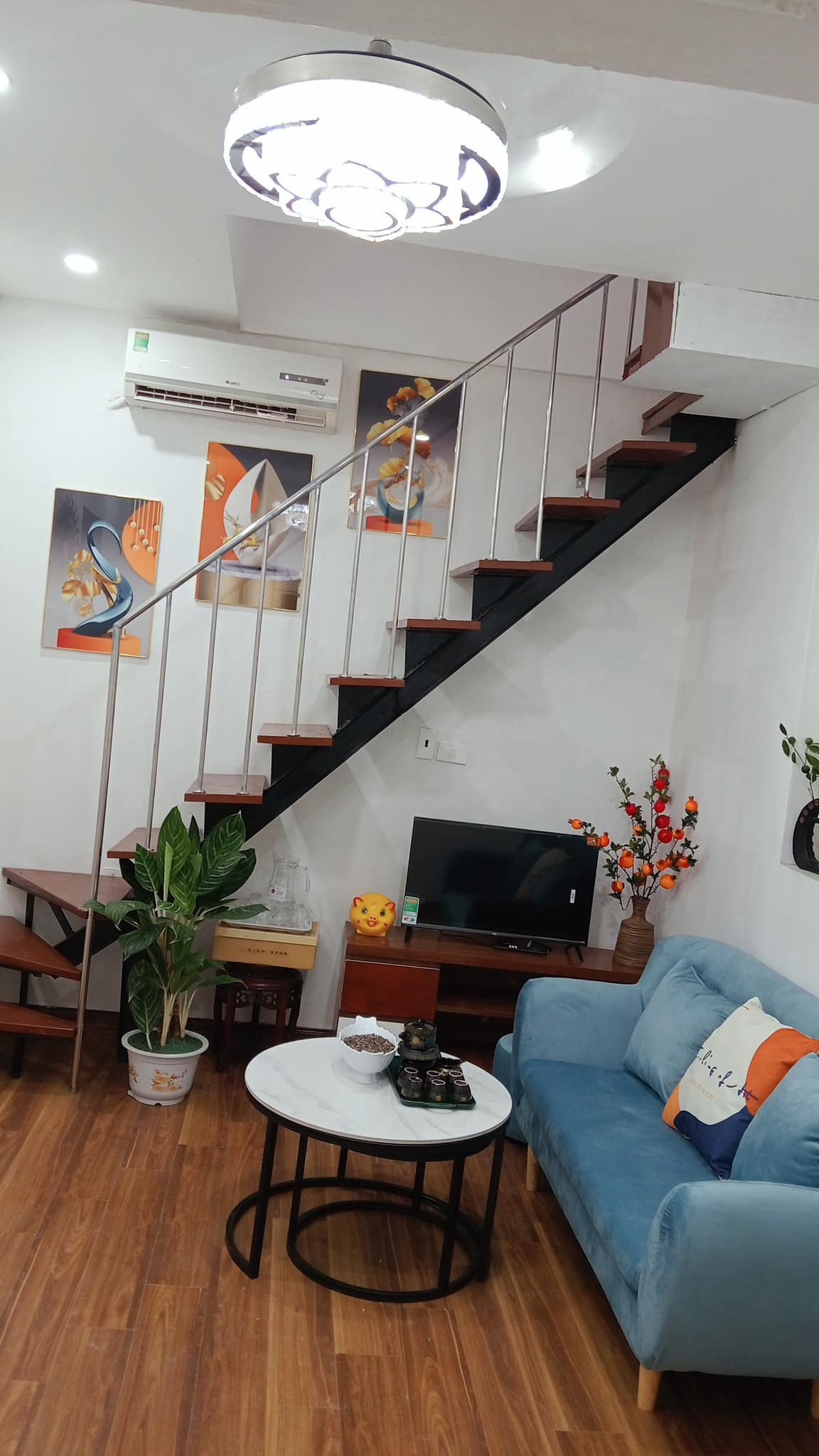 448965996_3683435821924955_5065103629478195494_n