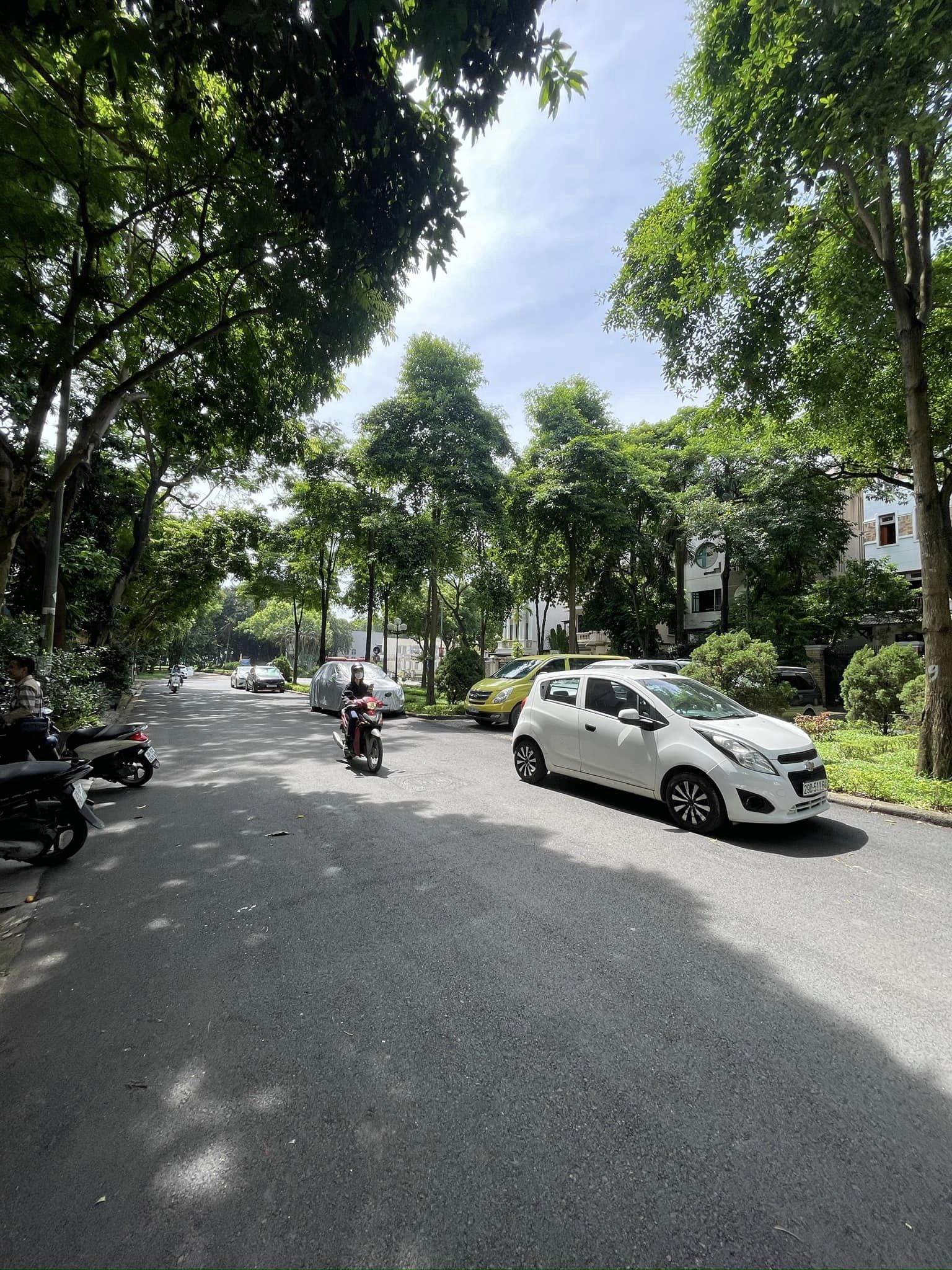 449133009_3855248851424222_7083797702721768105_n