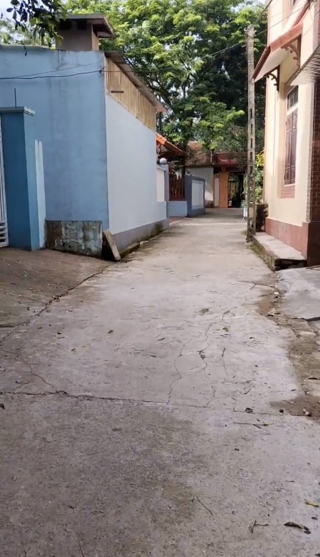 449444781_889455536533455_1107892631638779797_n