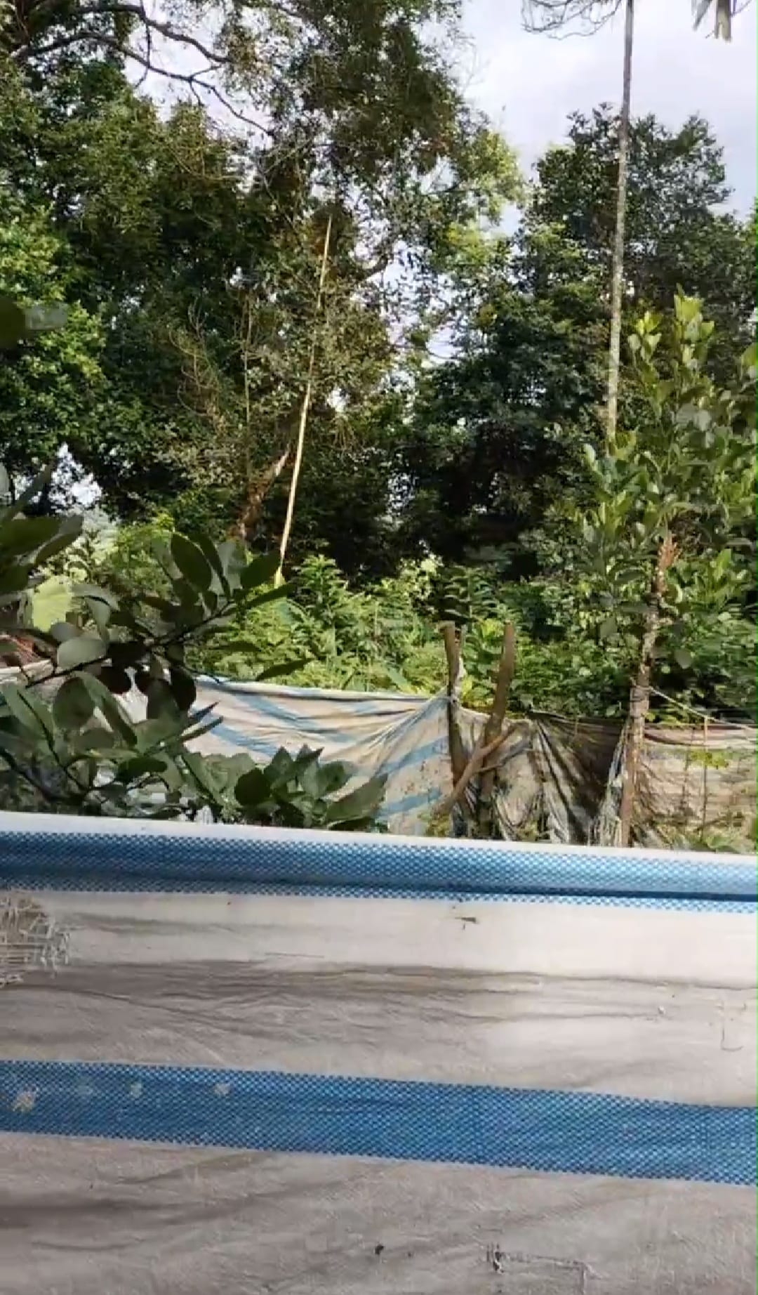 449466338_889455416533467_1824500222827368436_n