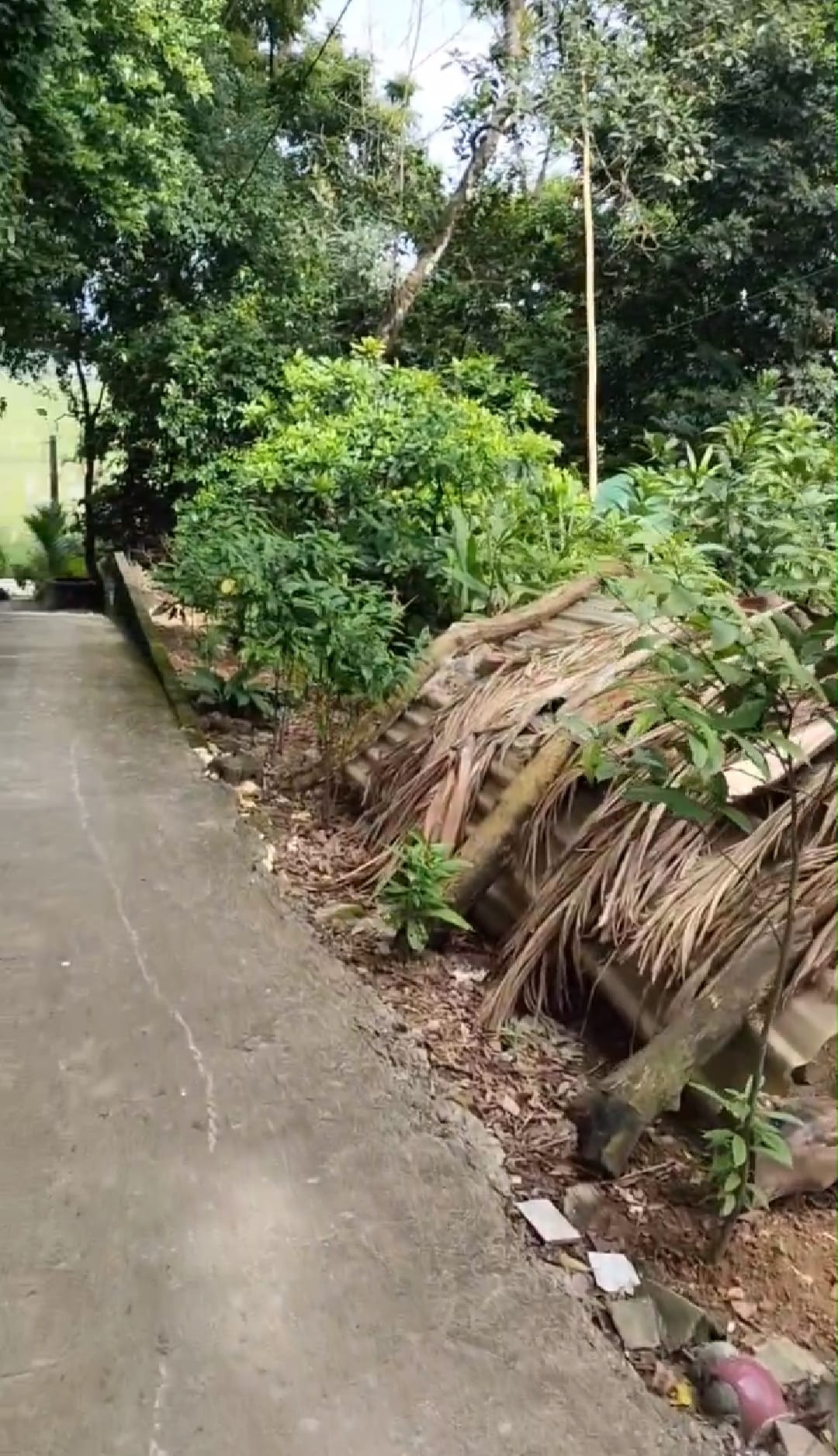 449483416_889455453200130_4479743395147392305_n