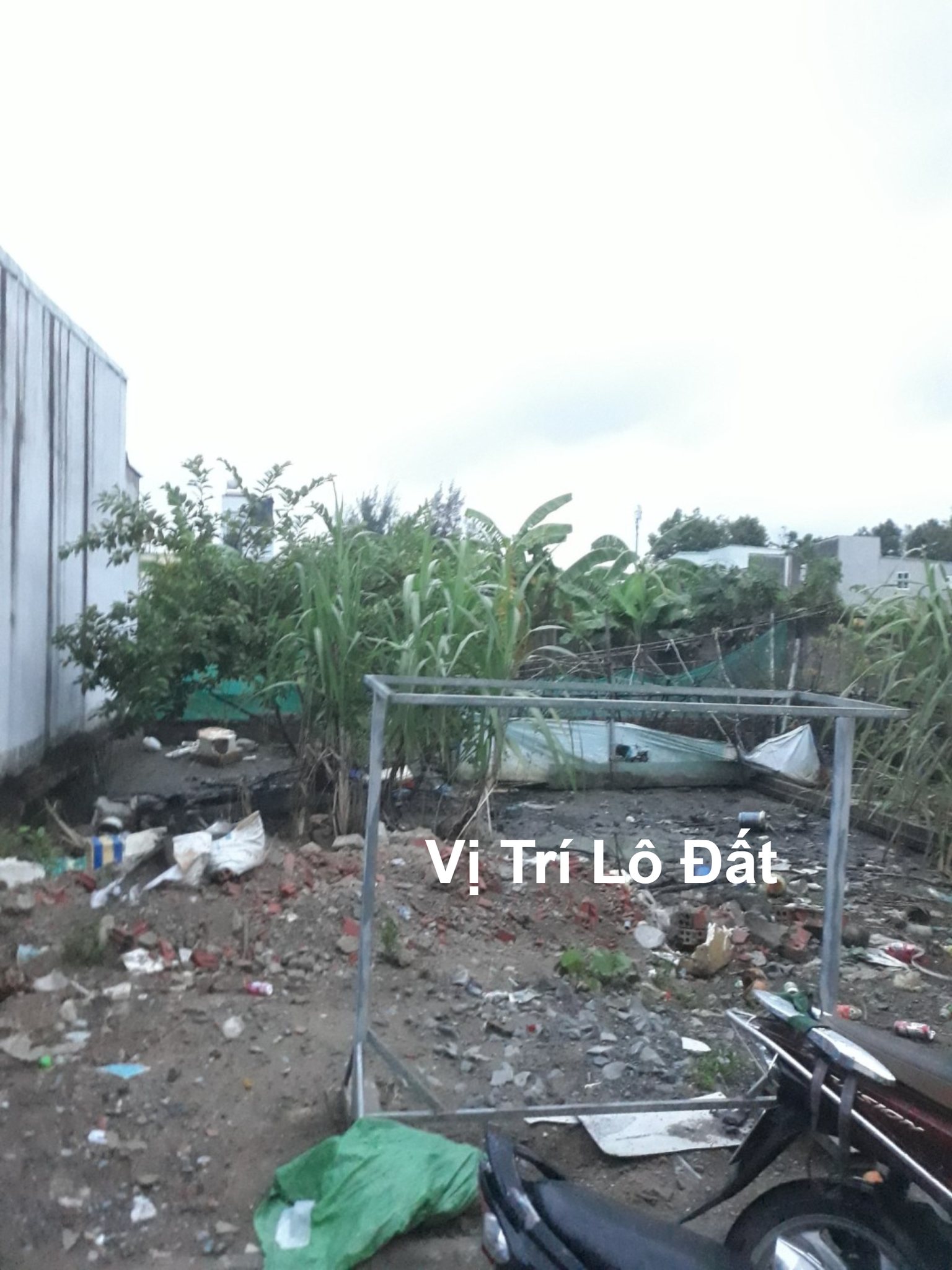 449711258_3170186276444606_4558453162188434109_n