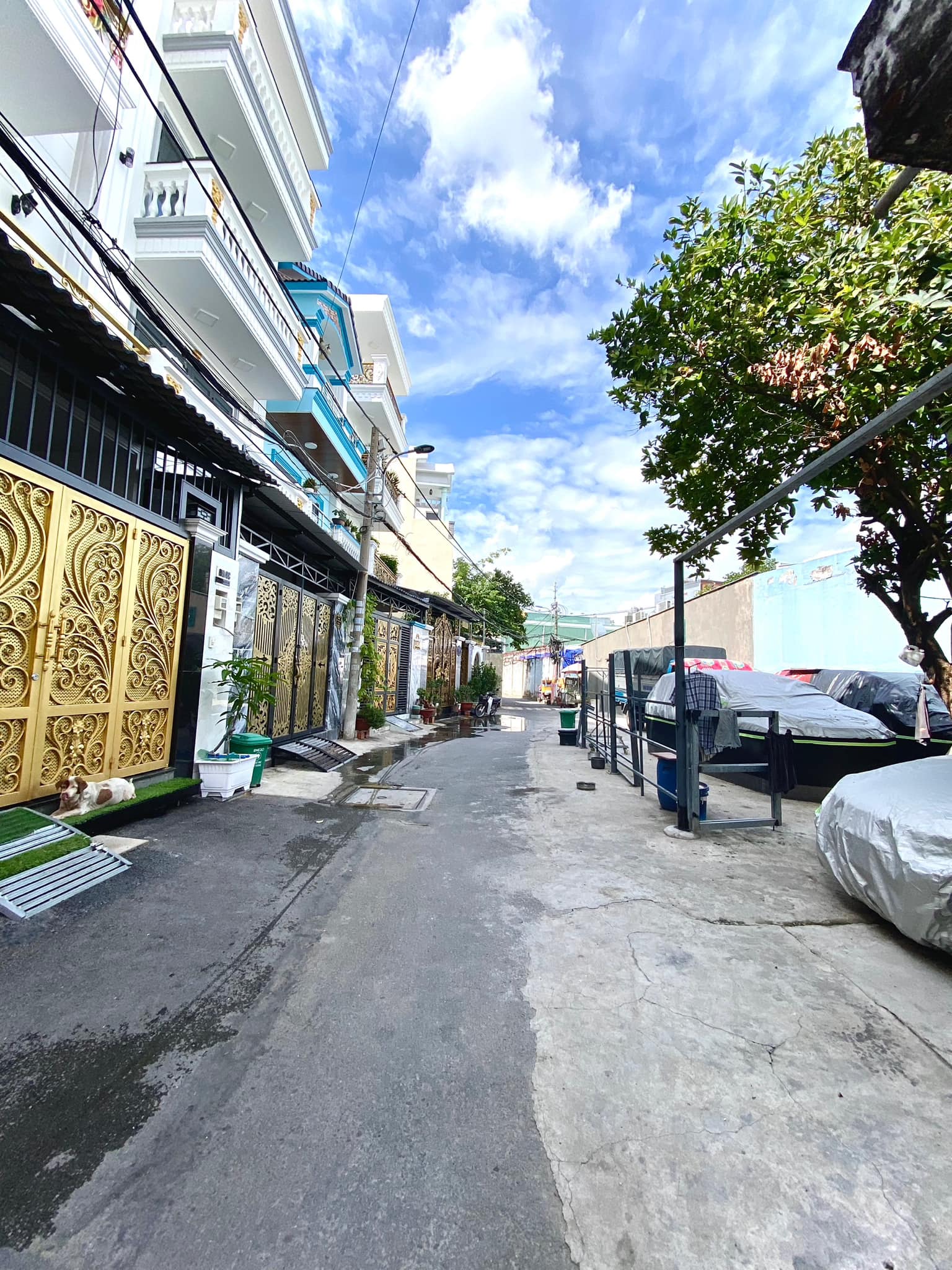 450004674_1854022218450421_2010941129919949660_n