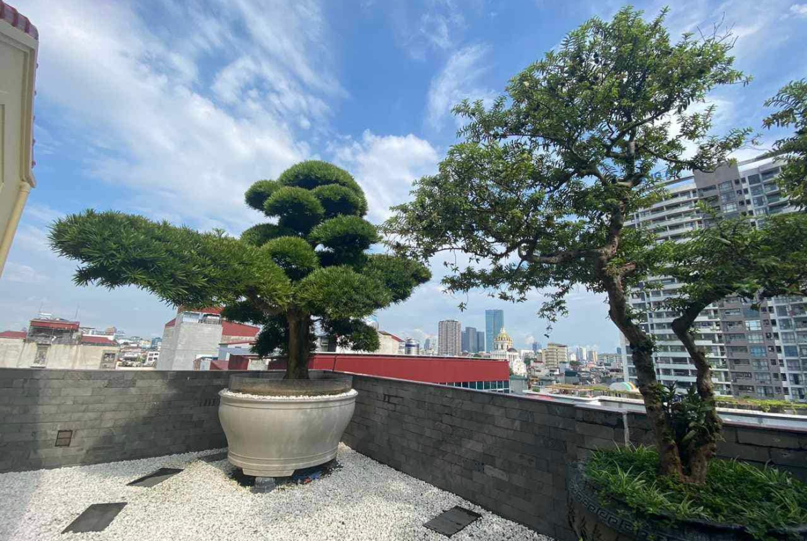 450254823_2022654874833704_4359939928743678824_n