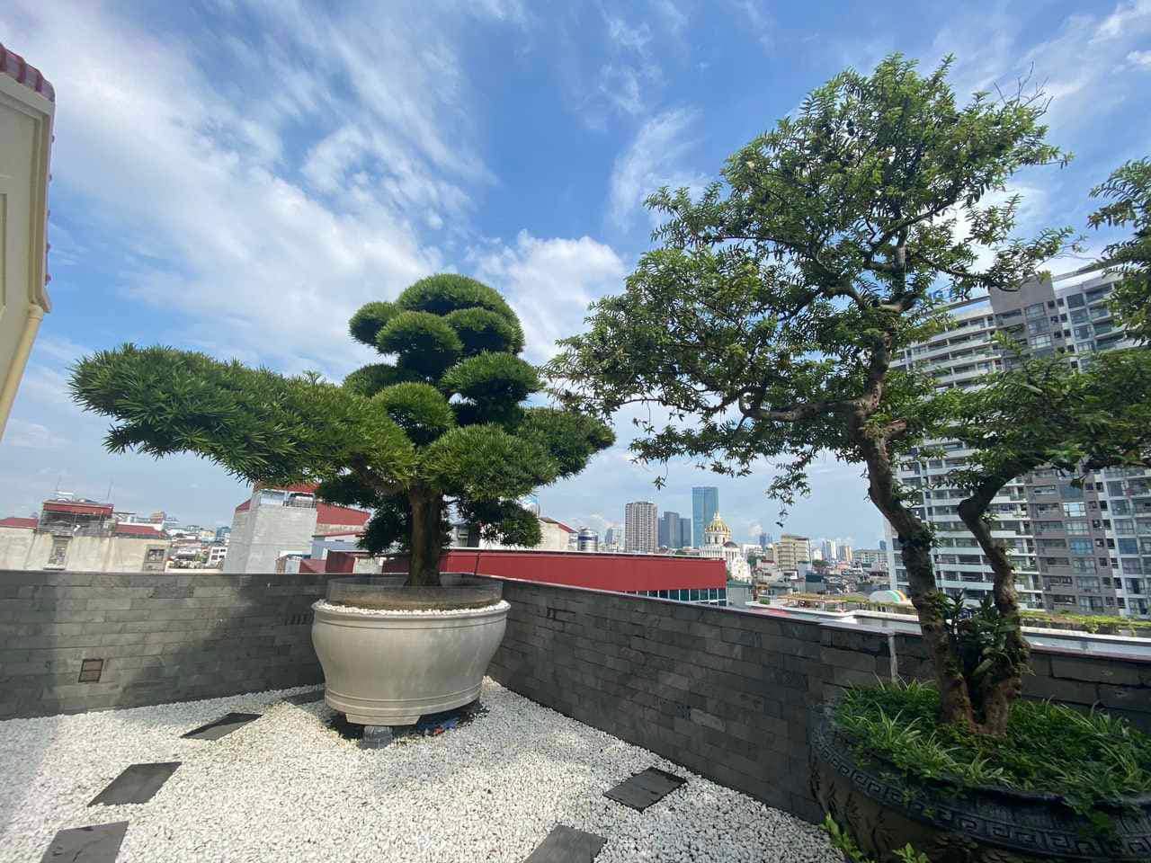 450254823_2022654874833704_4359939928743678824_n