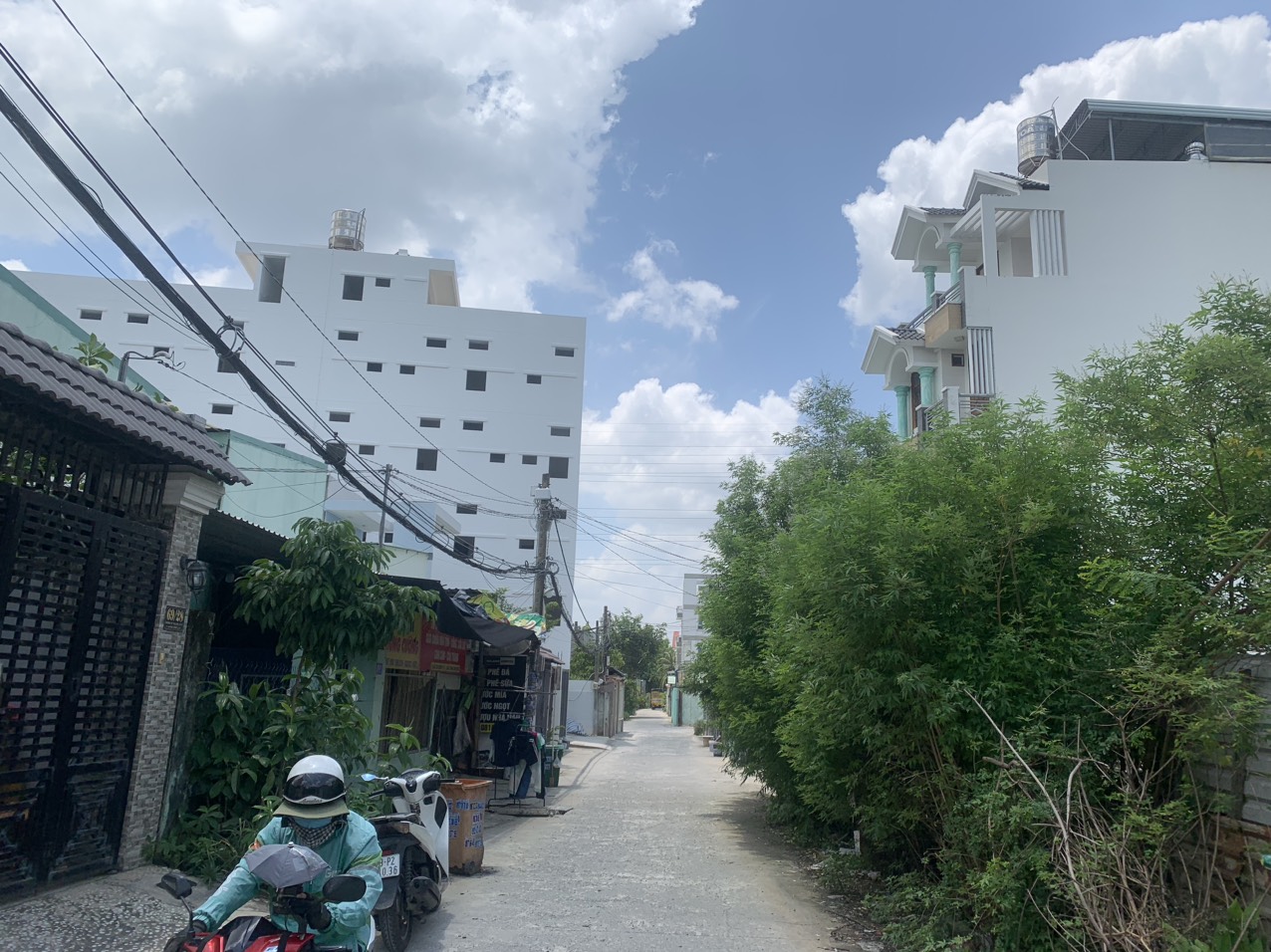 450944201_1257776952092796_3276272506801258006_n