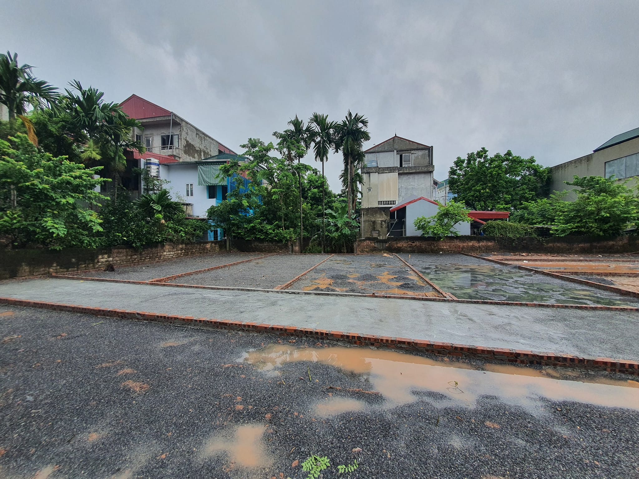 451138049_898091665669842_1500778266061032875_n