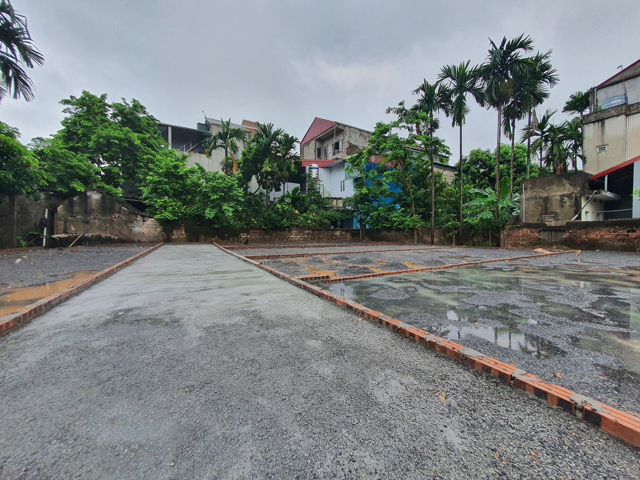 451139312_898091879003154_2482861357496835602_n