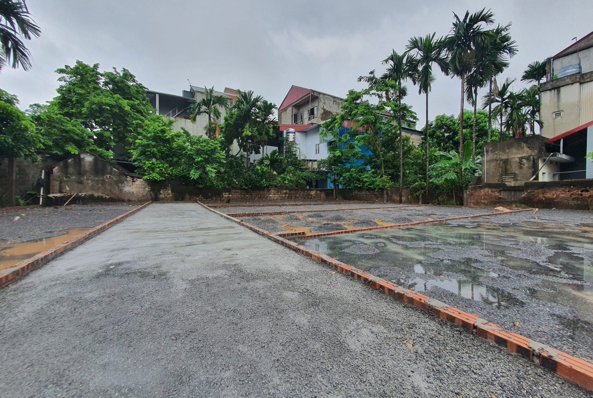 451139312_898091879003154_2482861357496835602_n