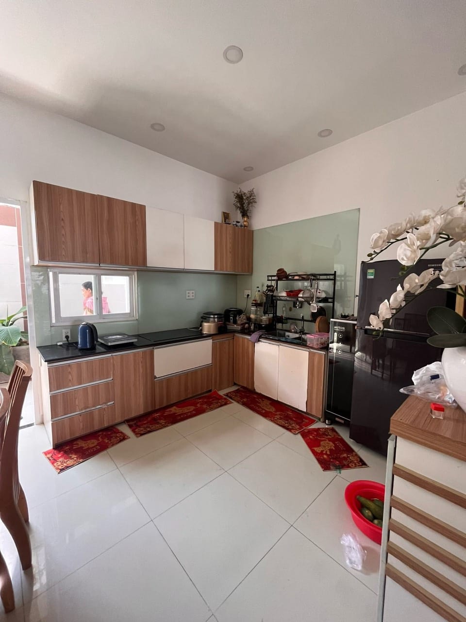 451401263_1212475576609880_7917455652697163330mm