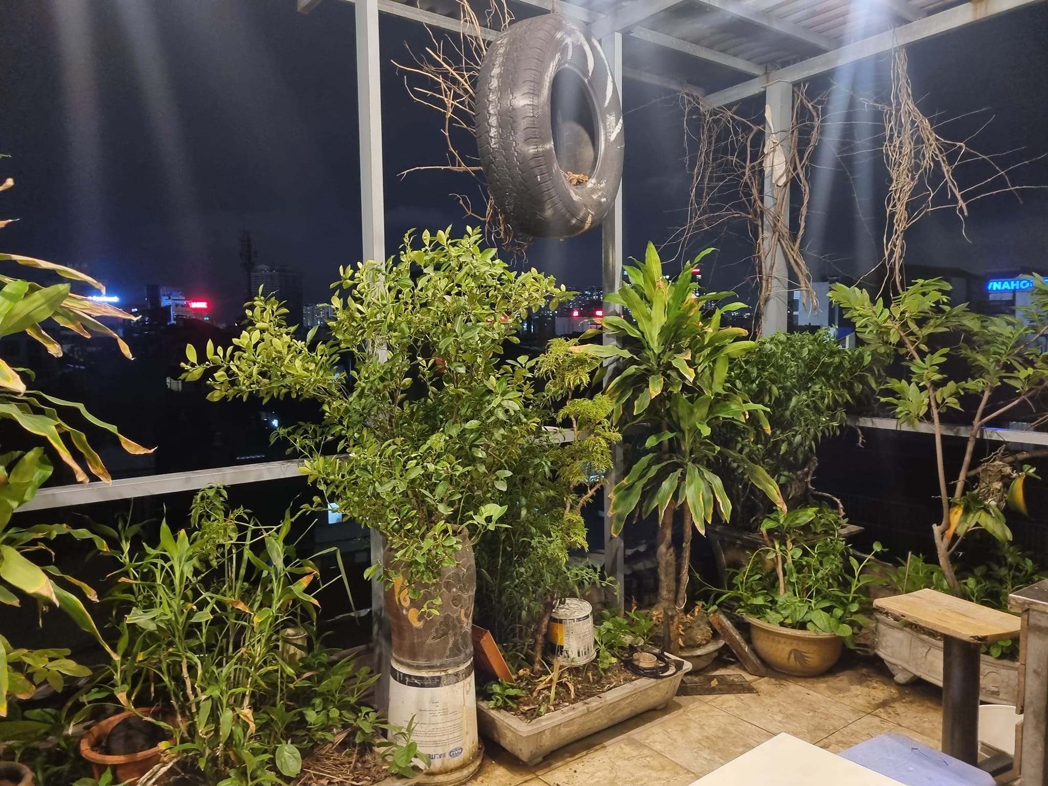 451587998_1008614194135314_8015974404814227624_n