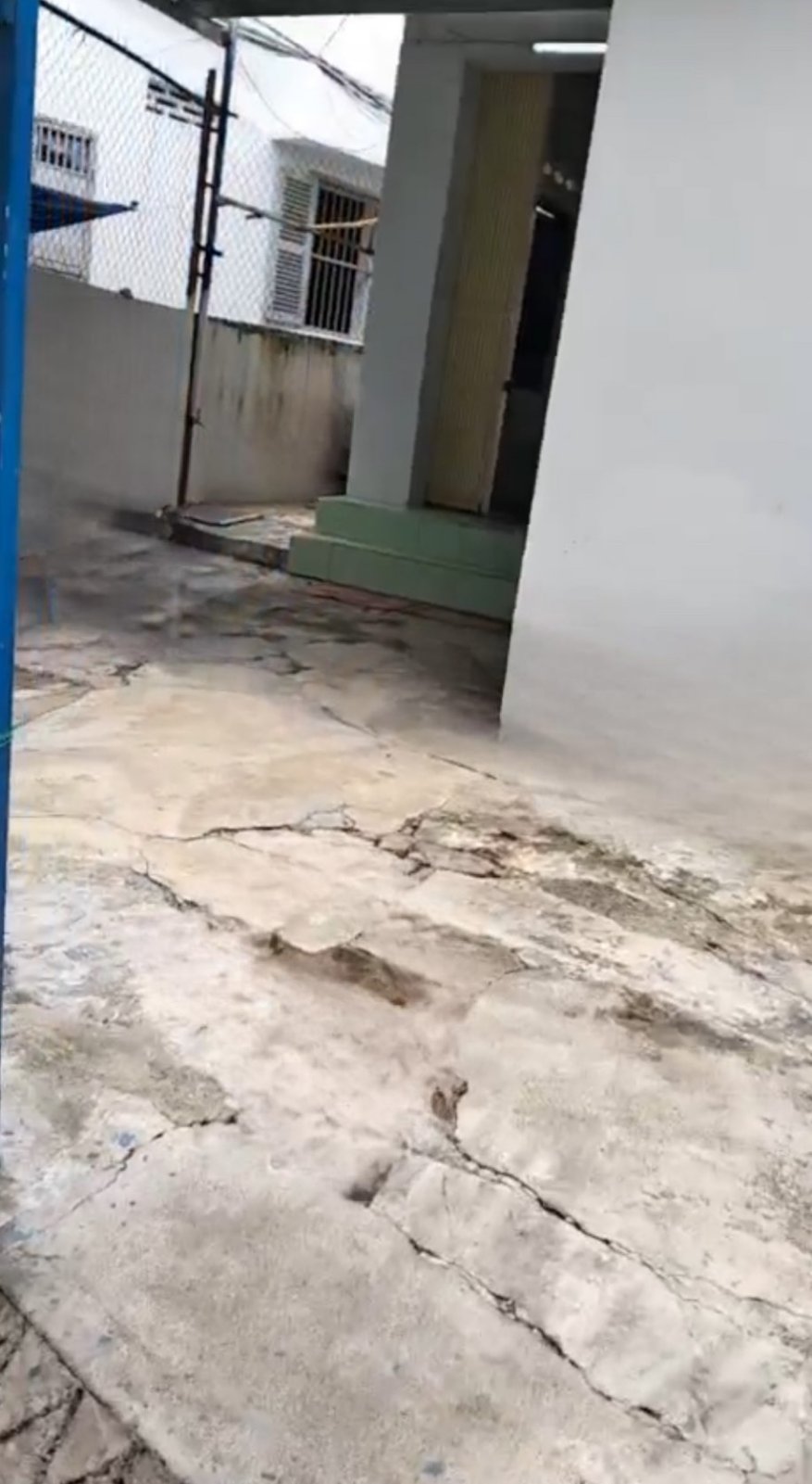 452120395_1186819359137565_7587694864999136454_n