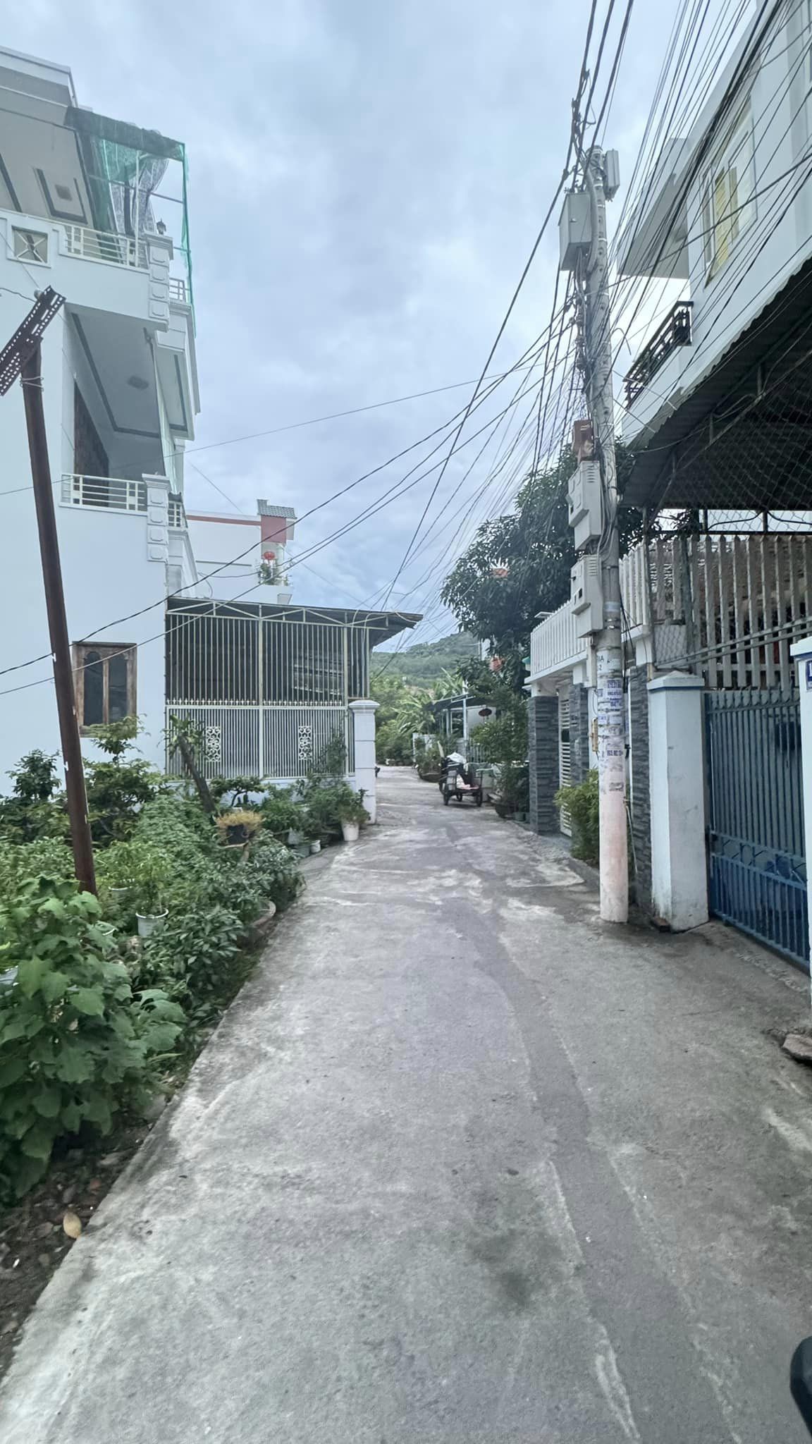 453194117_4097862853872307_5072435754629285485_n