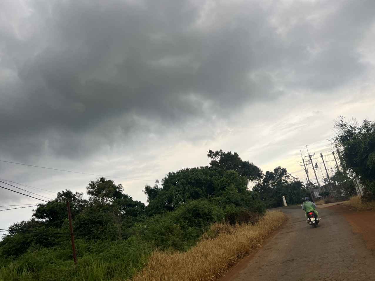 46dd4a1a03c2a69cffd3