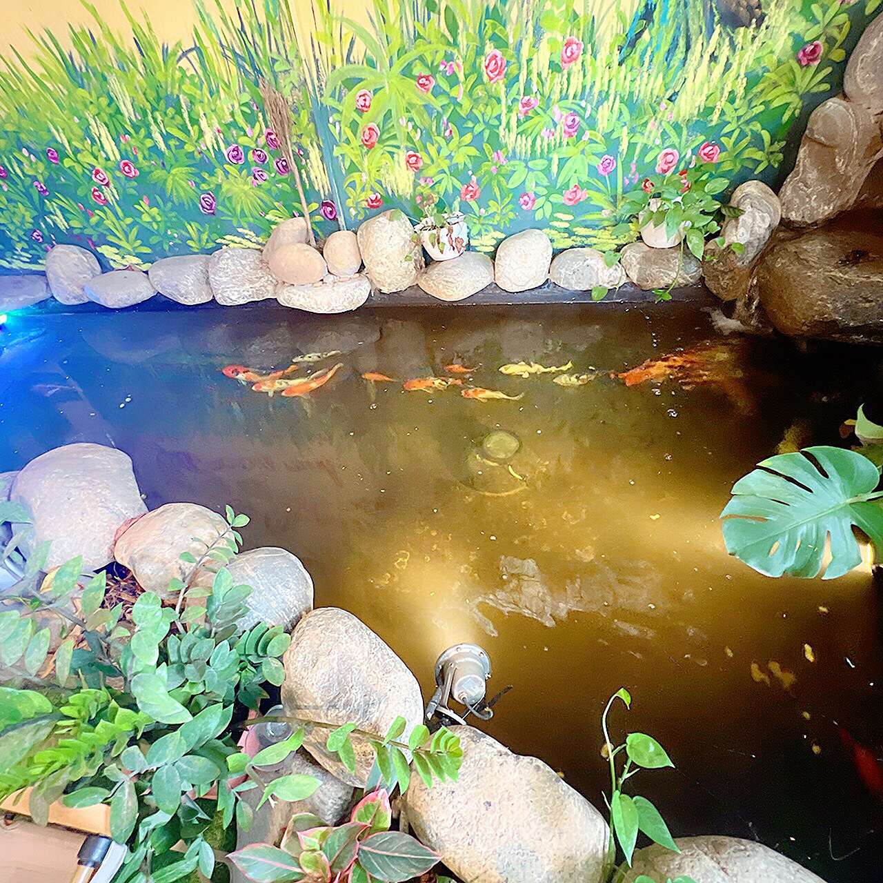 48f95ddc-356a-4007-982c-1f14c6165d46