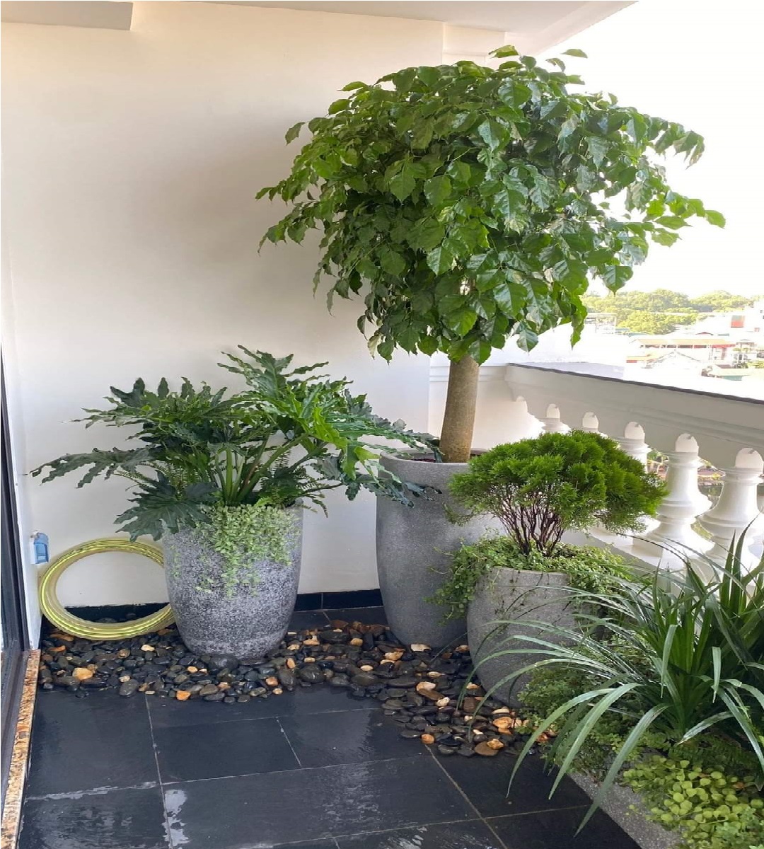 ban nha vinh hung hon 4 ty_0963139980_5