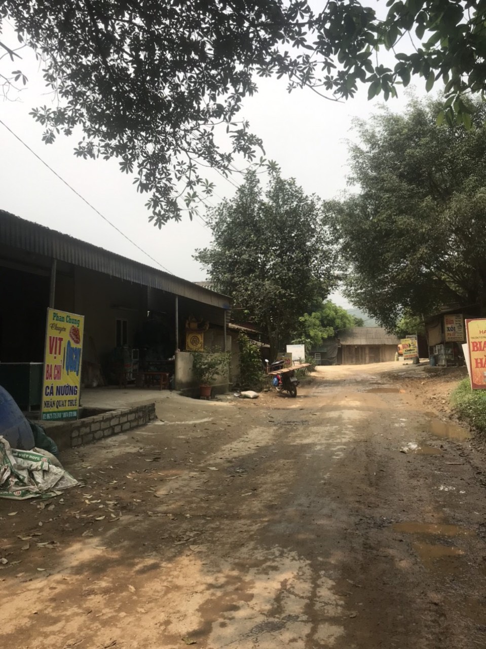 bc20983f9ac6389861d7305