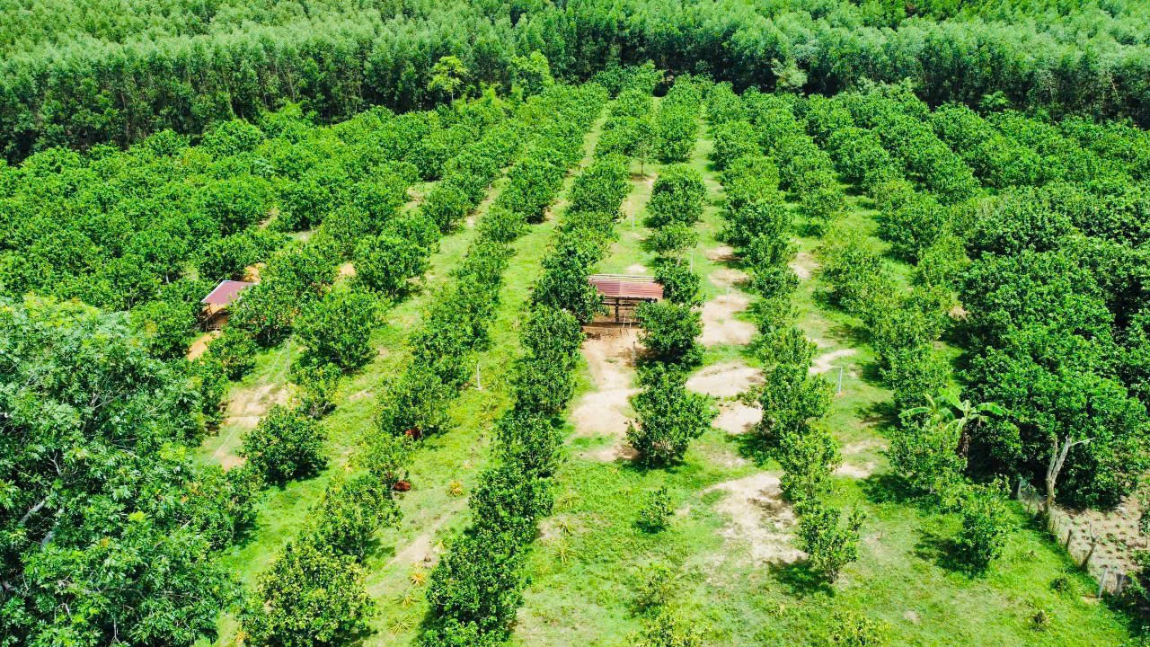 cb4ce58510aeb2f0ebbf11