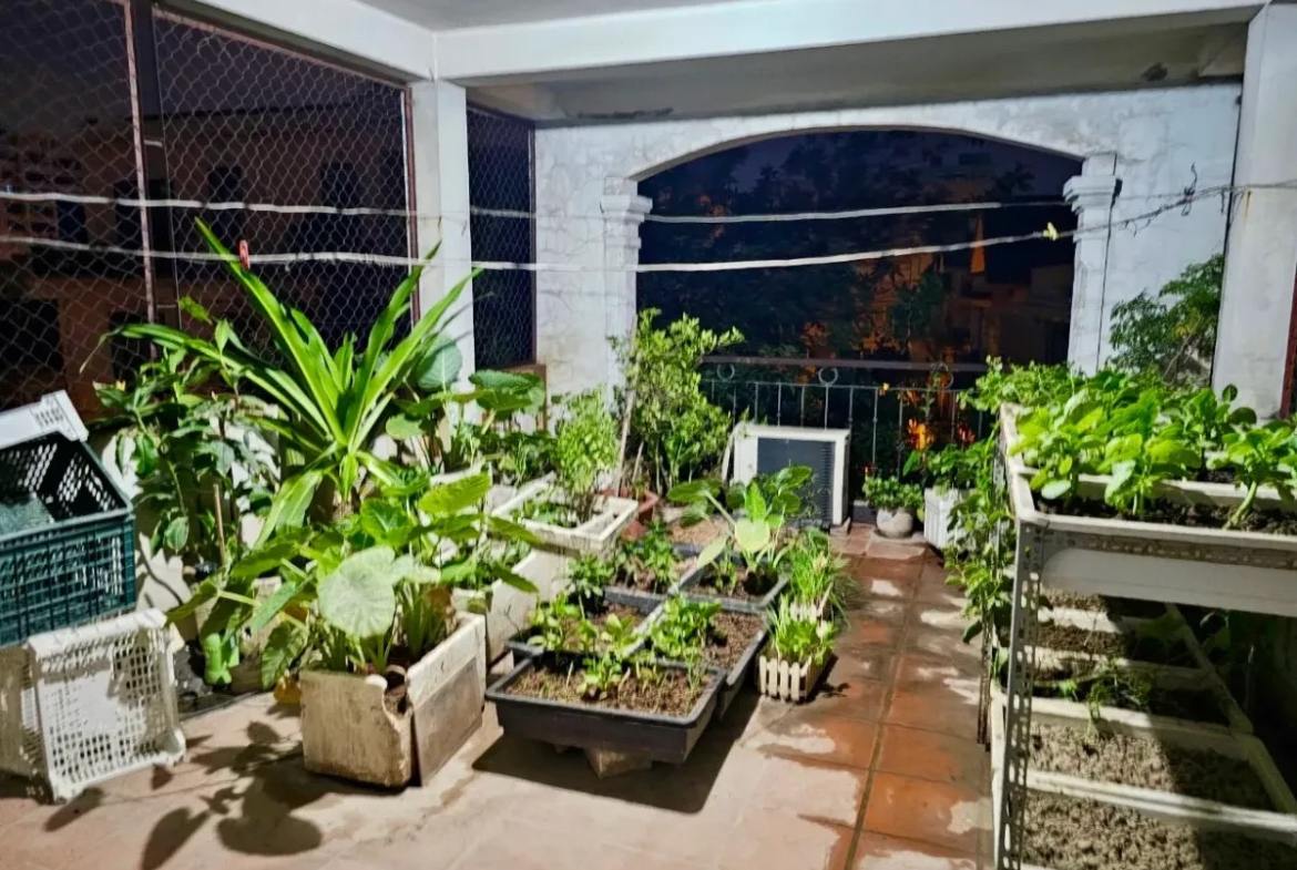 d58e4ea7-235b-419c-890c-3b84e4e09d7a