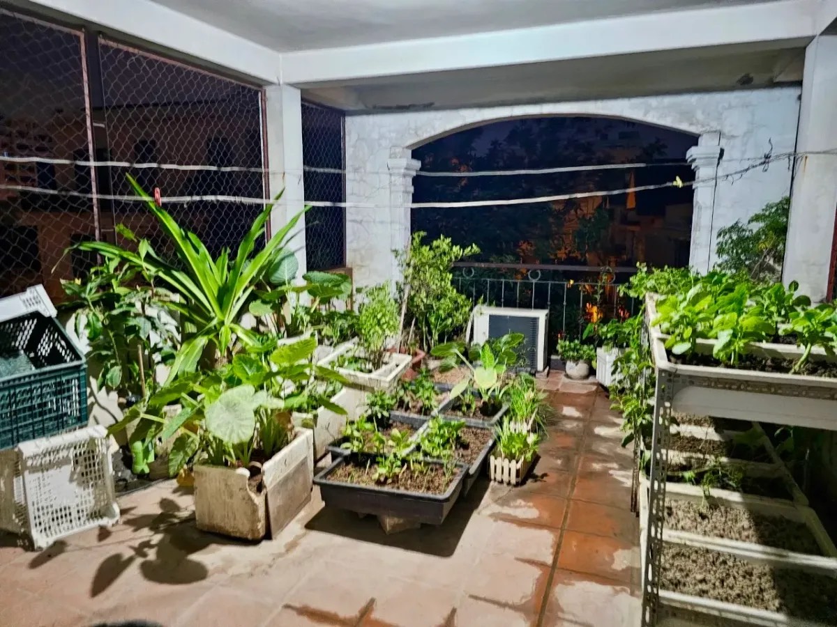 d58e4ea7-235b-419c-890c-3b84e4e09d7a