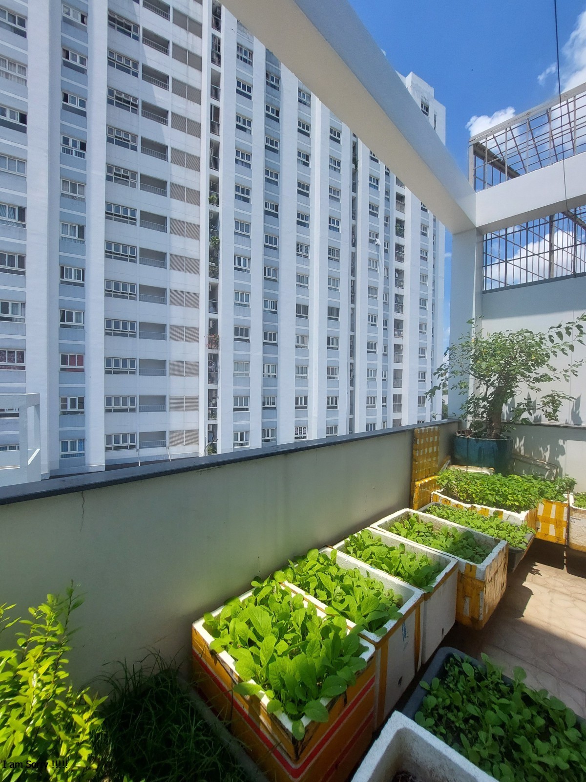 e65c1f048bf34589f7fc6e85ecf83334