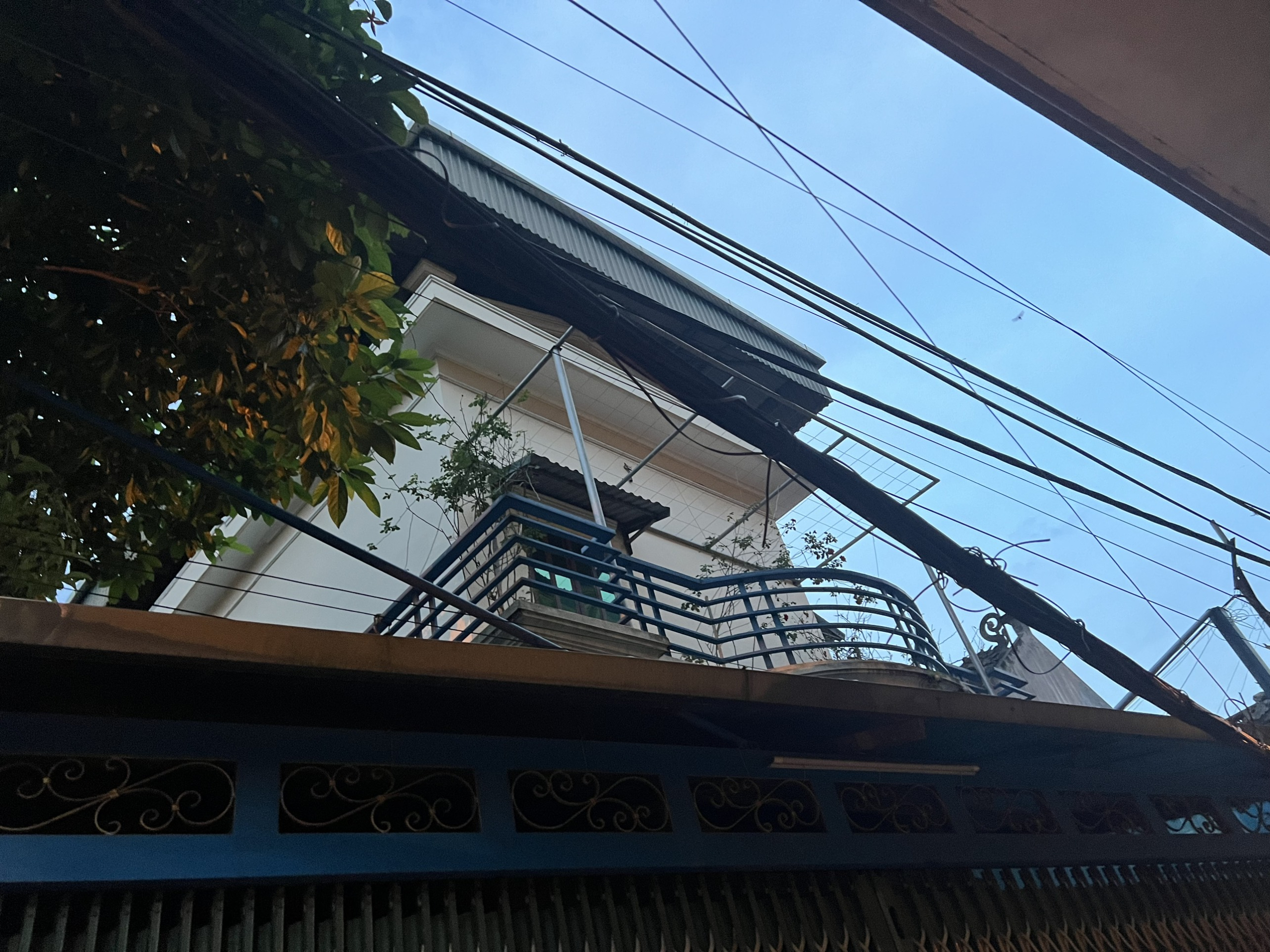 ed1af1779a7e3f20666f12