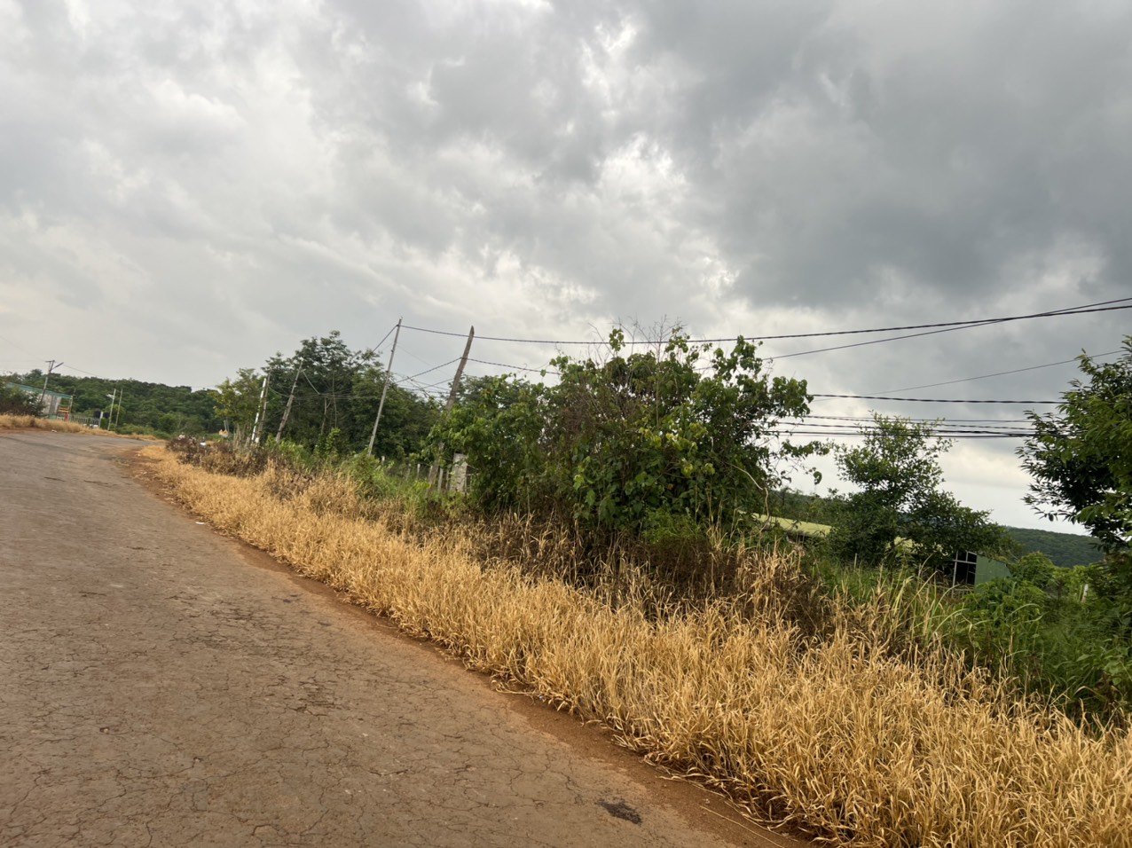 edd9de1f97c732996bd6