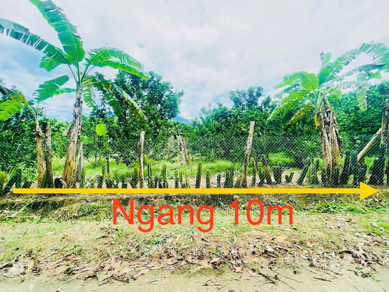 f304f4dd01f6a3a8fae77