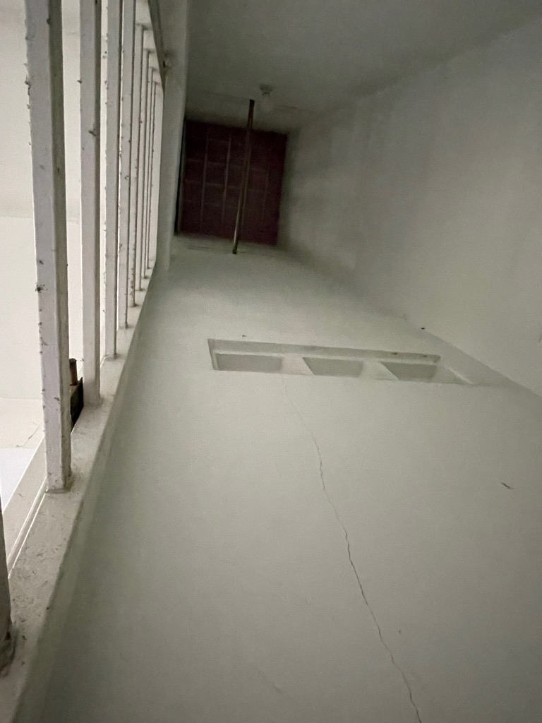 image_picker_07BEF7D8-21D1-4B2D-9A06-07798762E9A2-8808-000007EFF0C5EA09