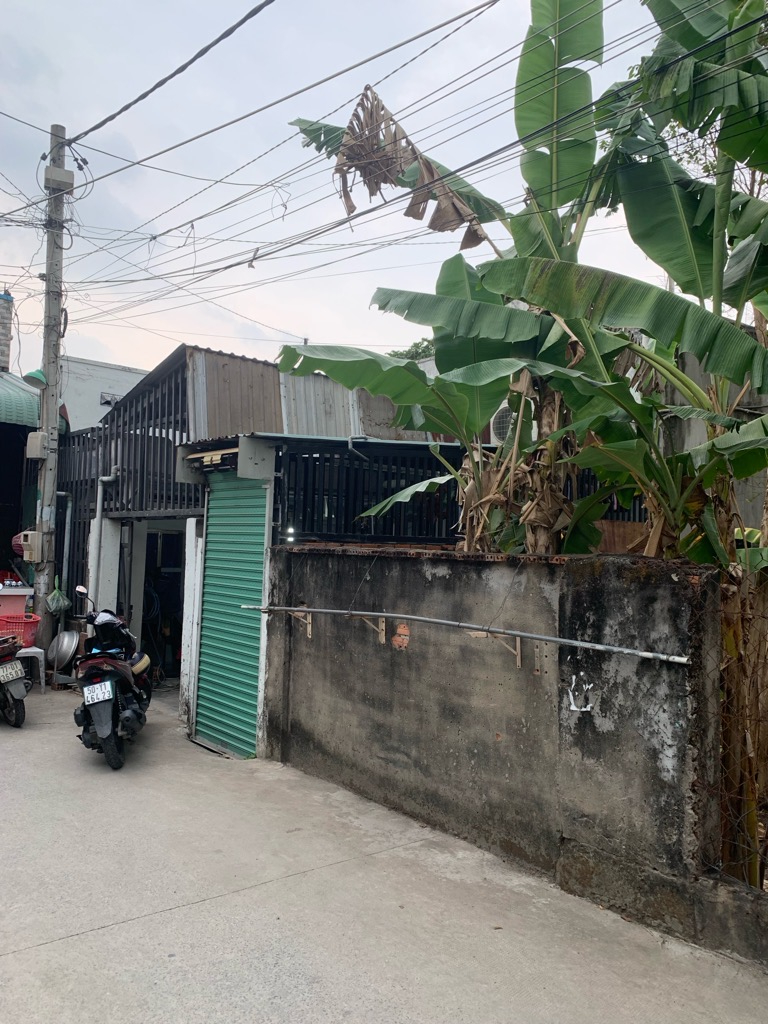 image_picker_79949C9D-7413-4081-9623-50A0E02FD8DA-18220-0000091537AAE971