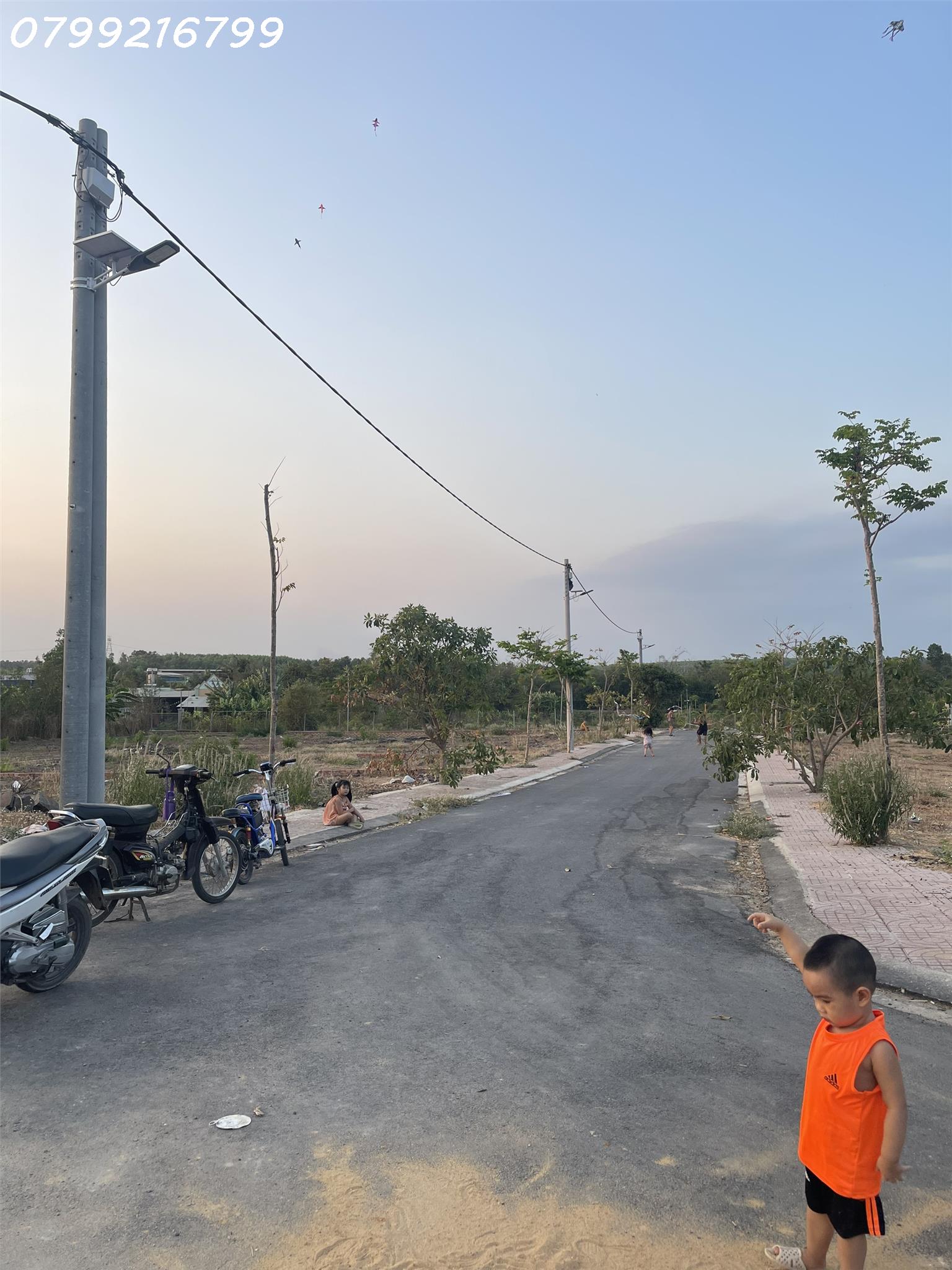 z5277781087501_92f7ebf52e57d1417f5fac9007238547 (1)