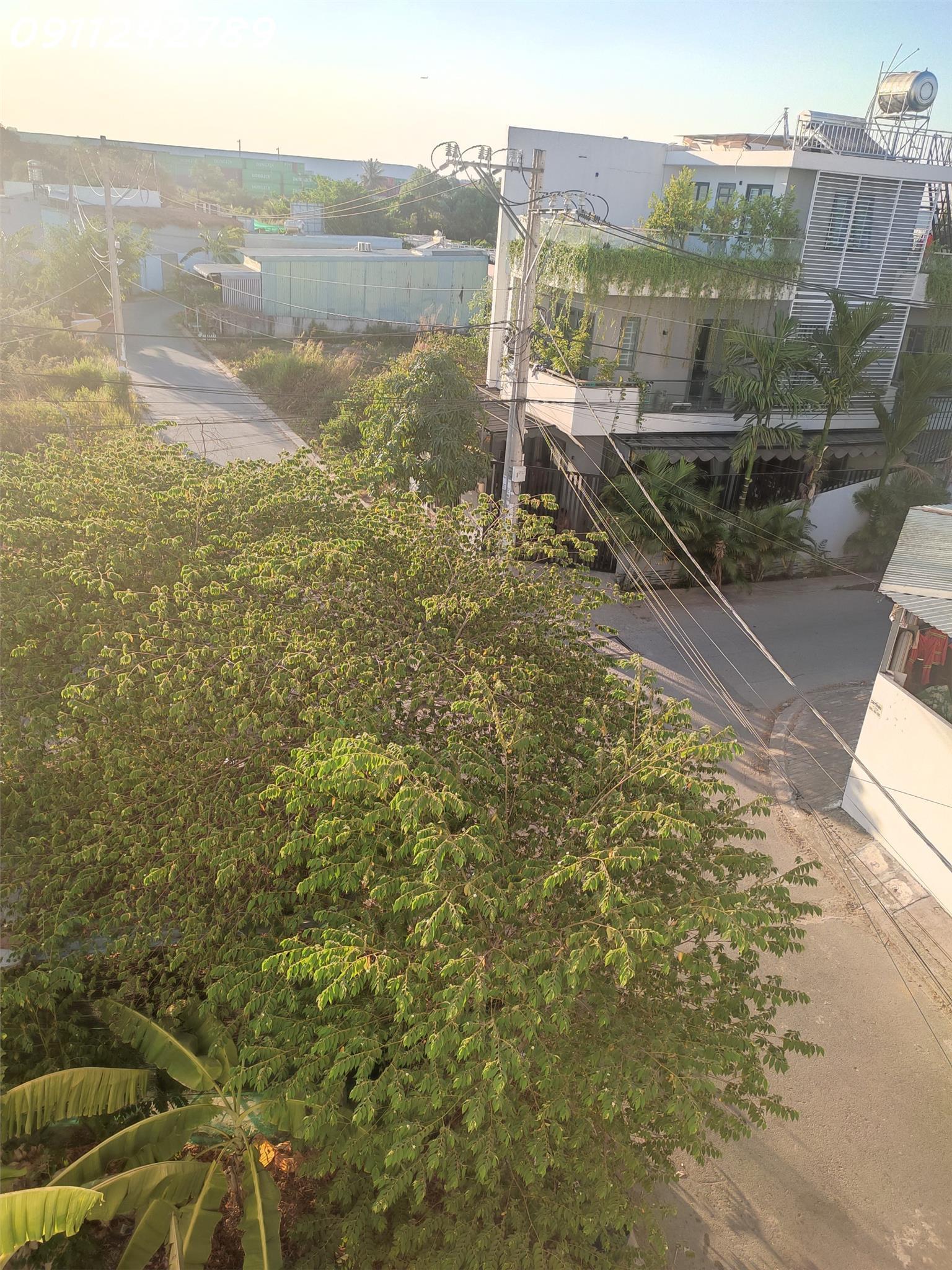 z5382531014896_2d7f94cbfaead5489dd571c5cf6fbd8e