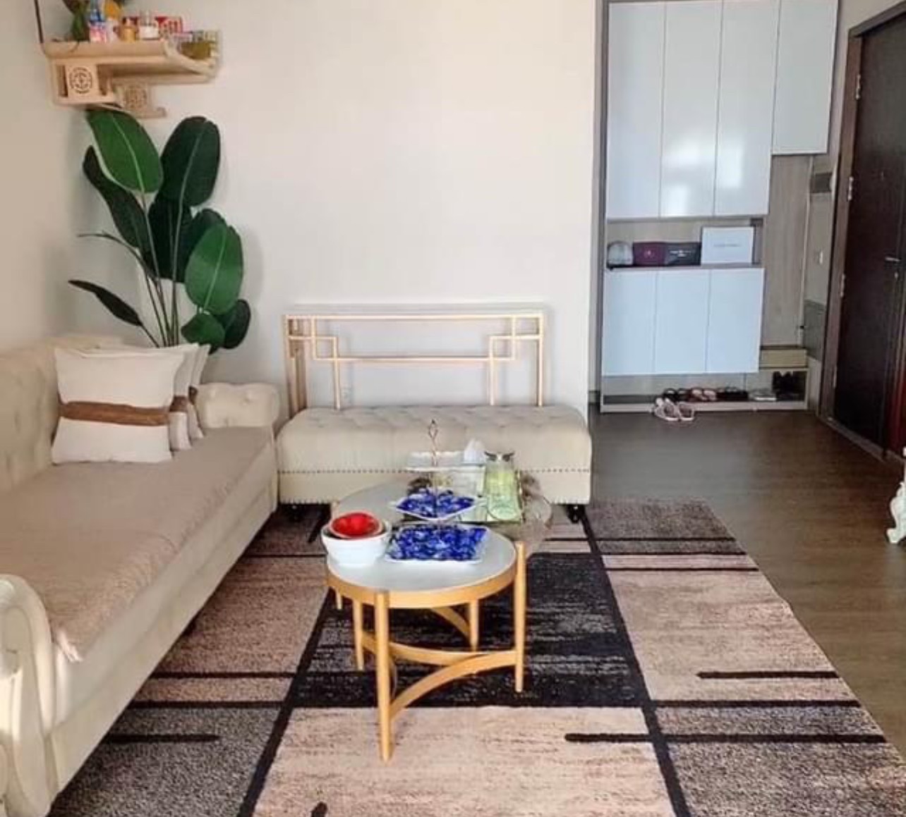 z5464752832404_35c3e74db3189c9f934d3893633aa958