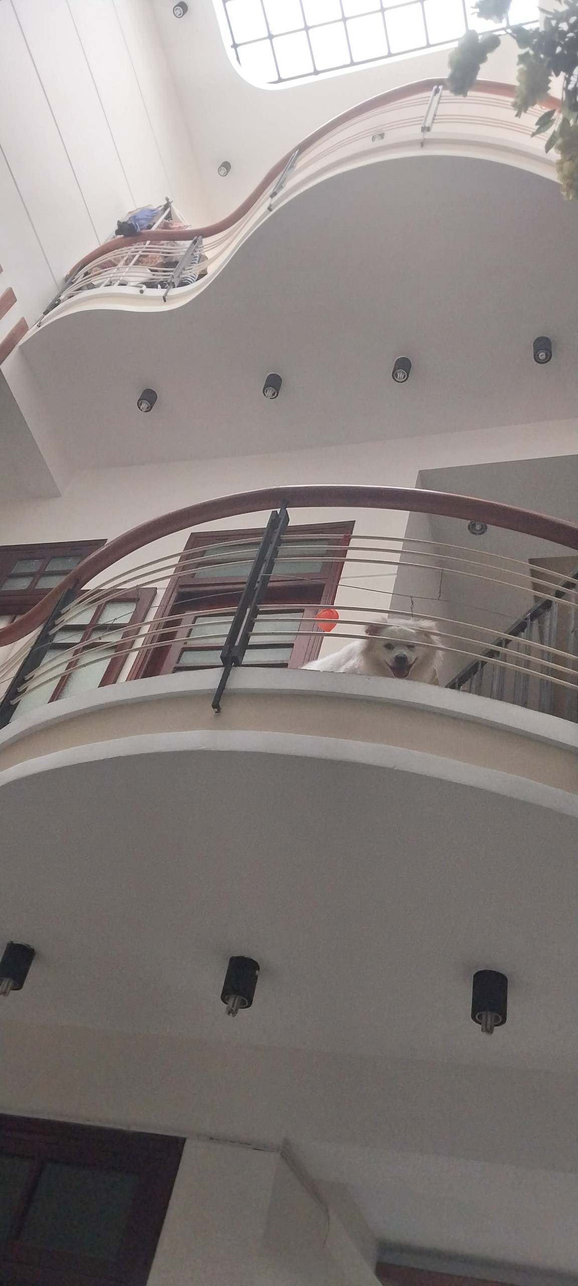 z5491051584738_195eff8e6a8ef5bc30f543f9738c6824