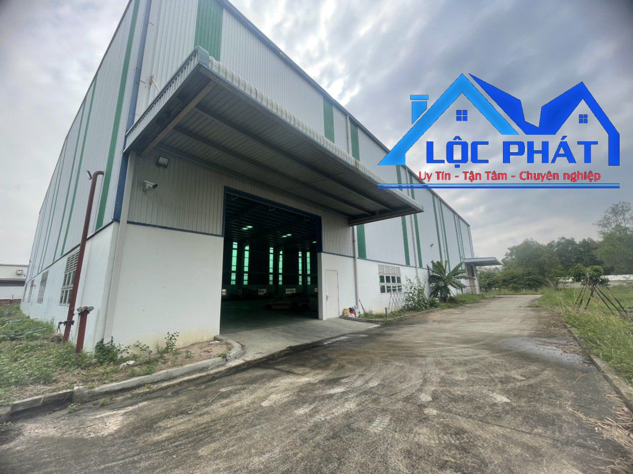 z5519306742550_de0d1c8c23a6baaae148caa96ea401c2