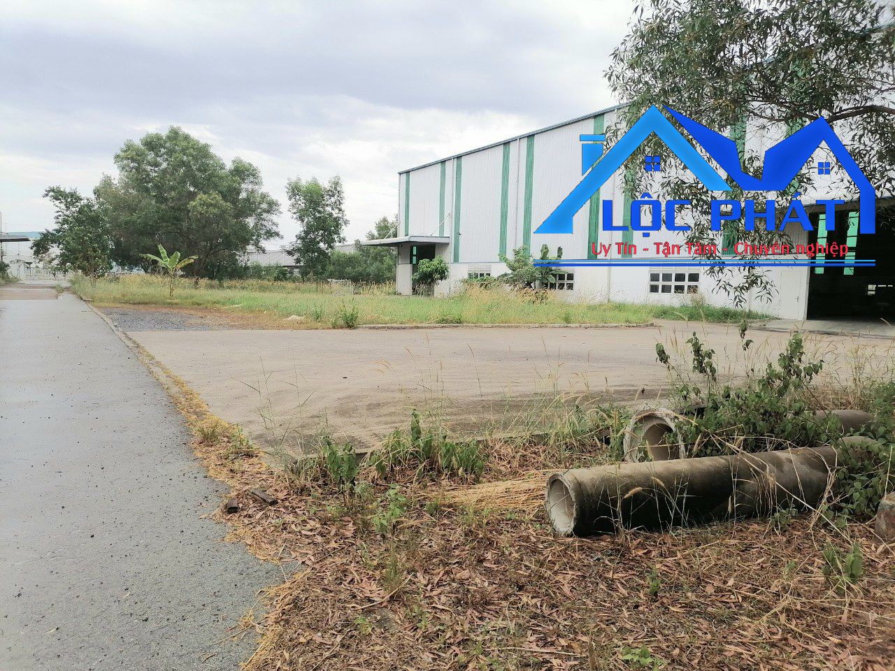 z5519306763854_dd7b3ec913a48405cc4318c4bc388f3c