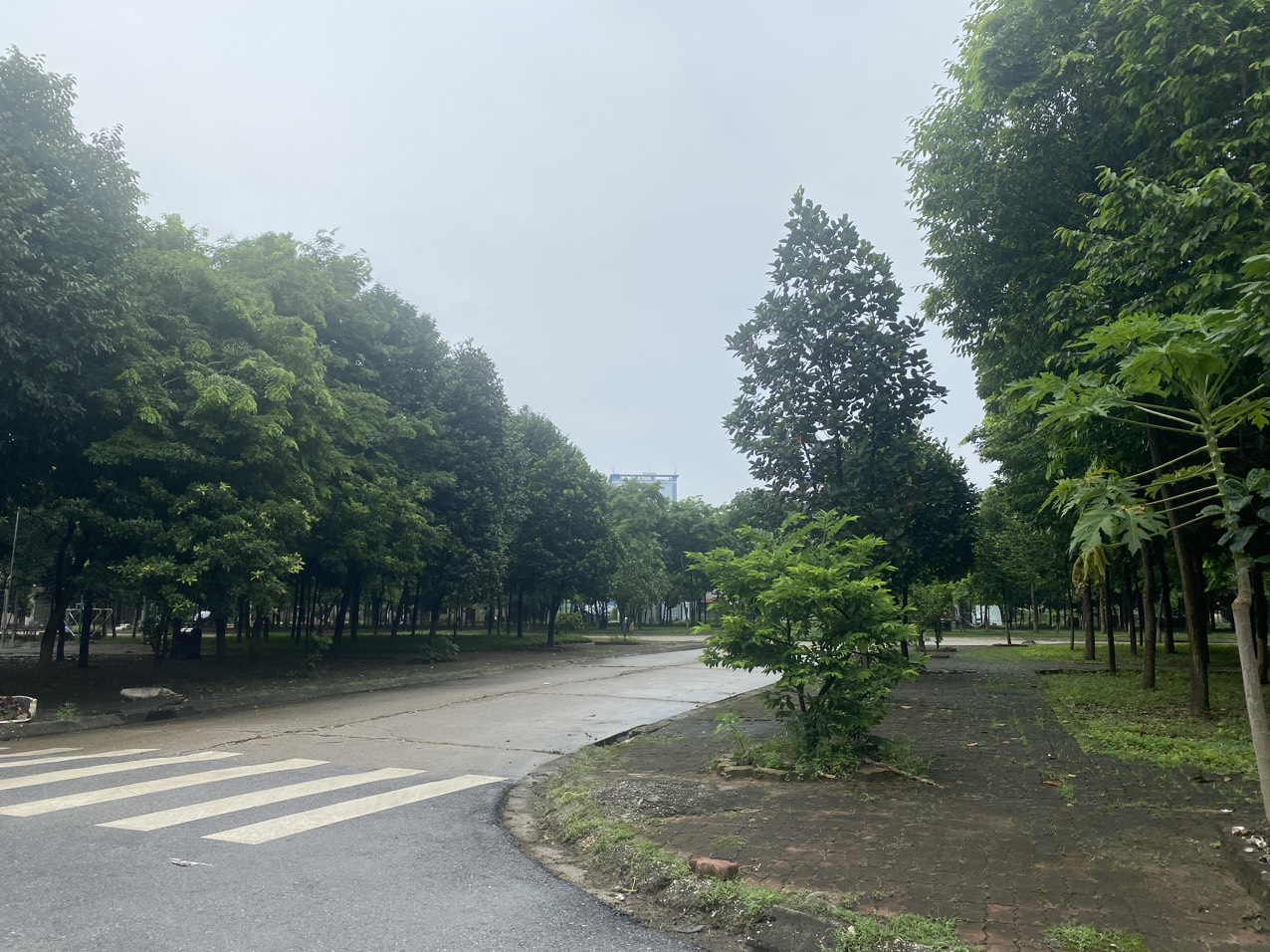 z5531861252371_dd4a9d6d5aafe8bdbad56408ee2905e0