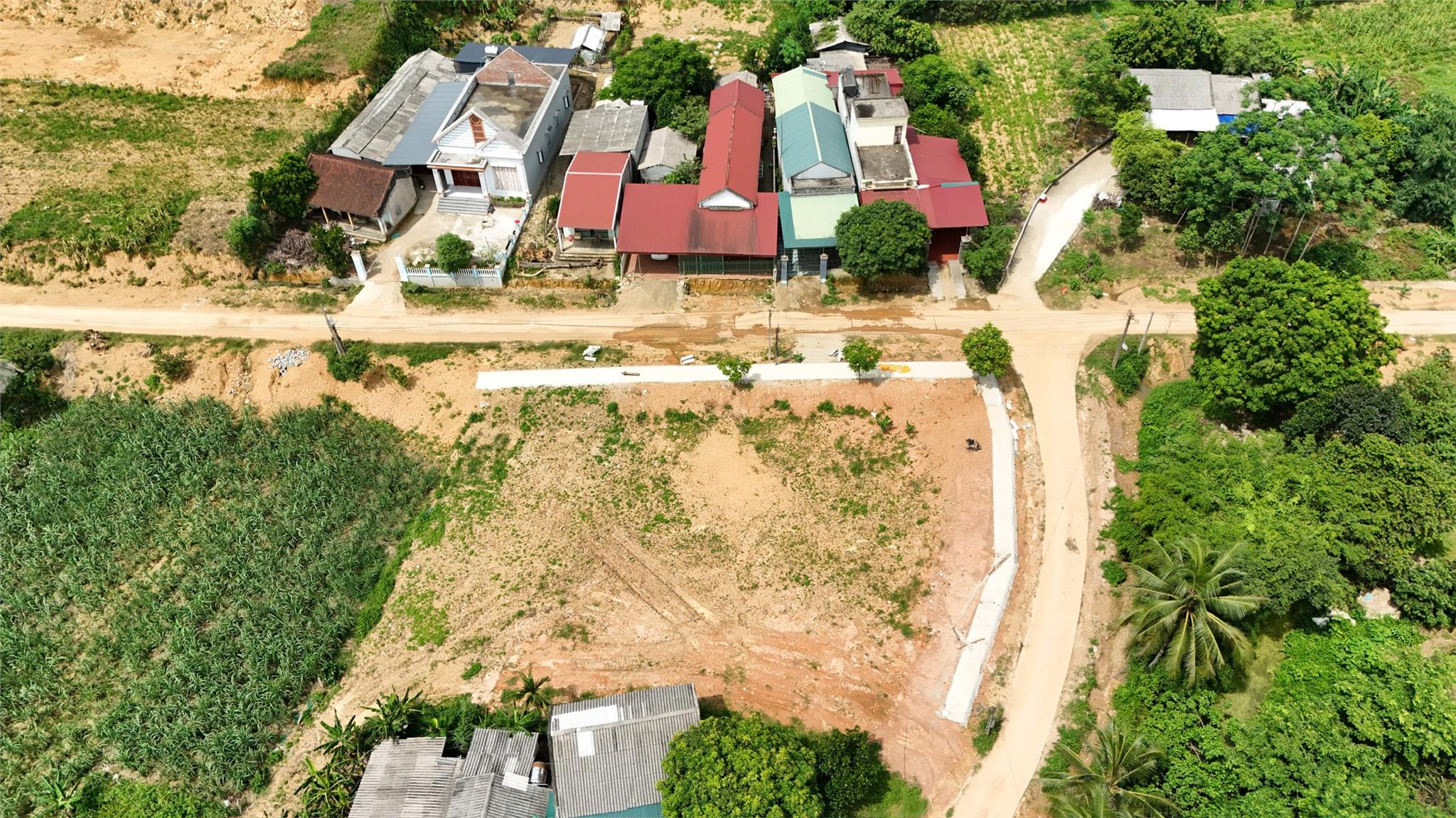 z5550052490452_471f696525042136bbca5cd126249e71