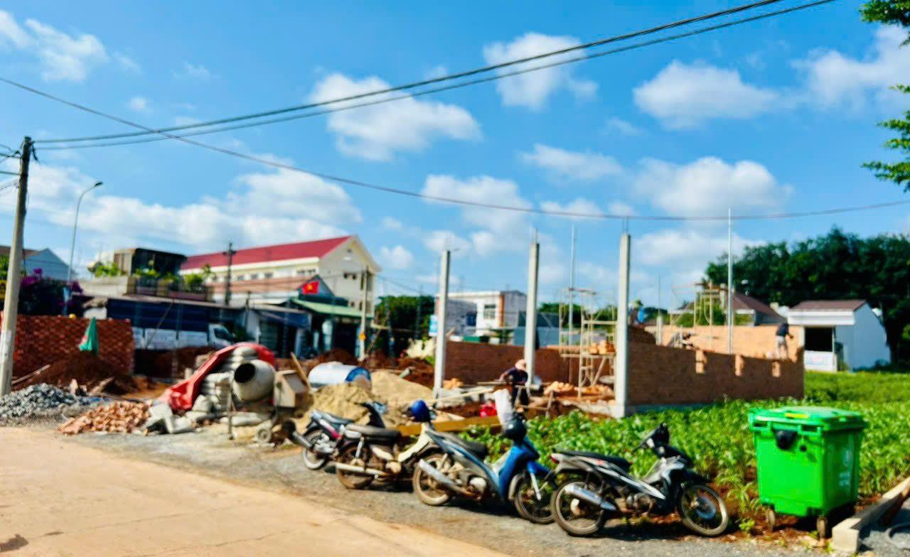 z5556369983410_b83944e4d56d5f77792585660d882815